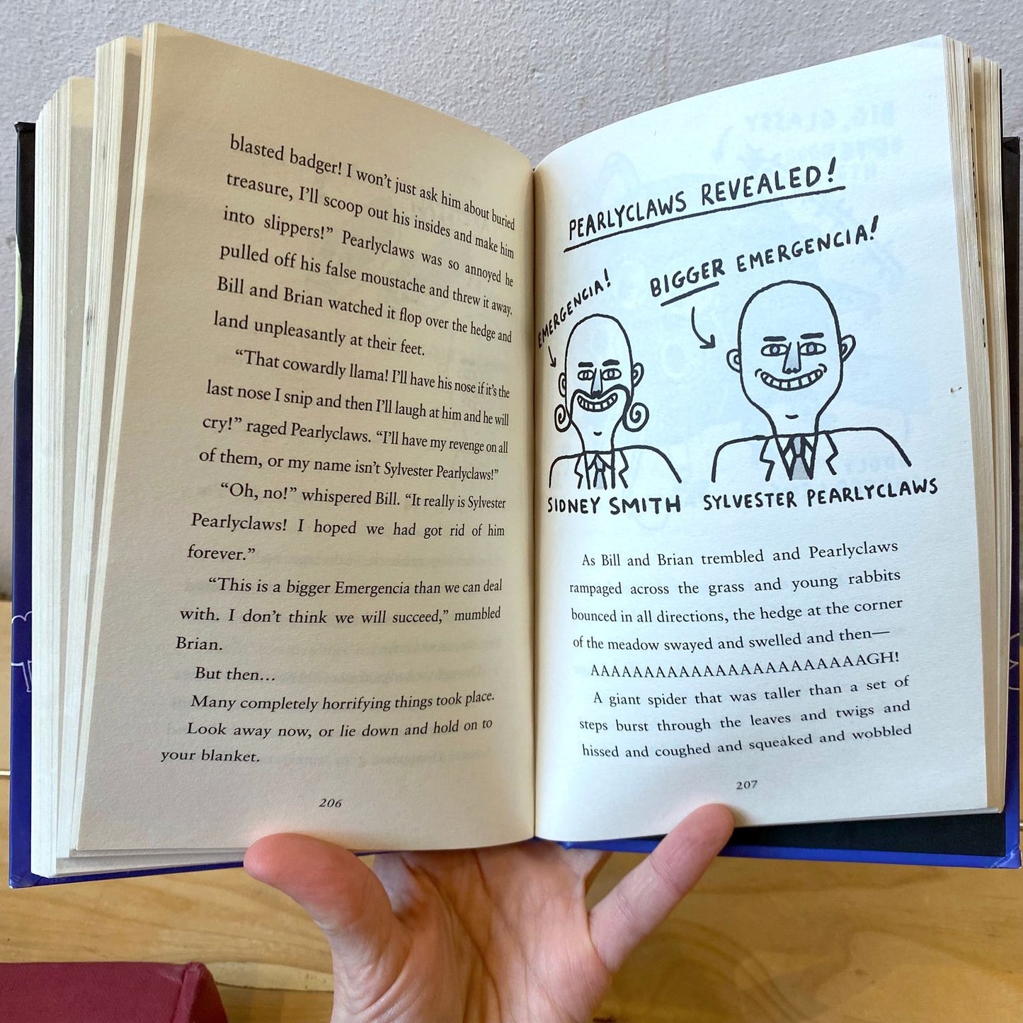 Uncle Shawn and Bill and the Almost Entirely Unplanned Adventure – A.L. Kennedy, Gemma Correll