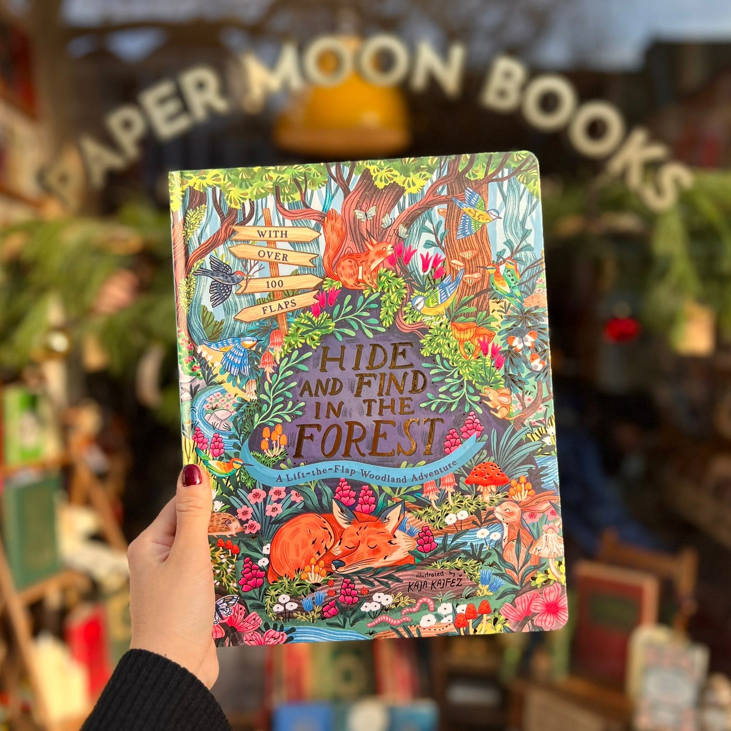 Hide and Find in the Forest: A lift the Flap woodland Adventures – Kaja Kajfez