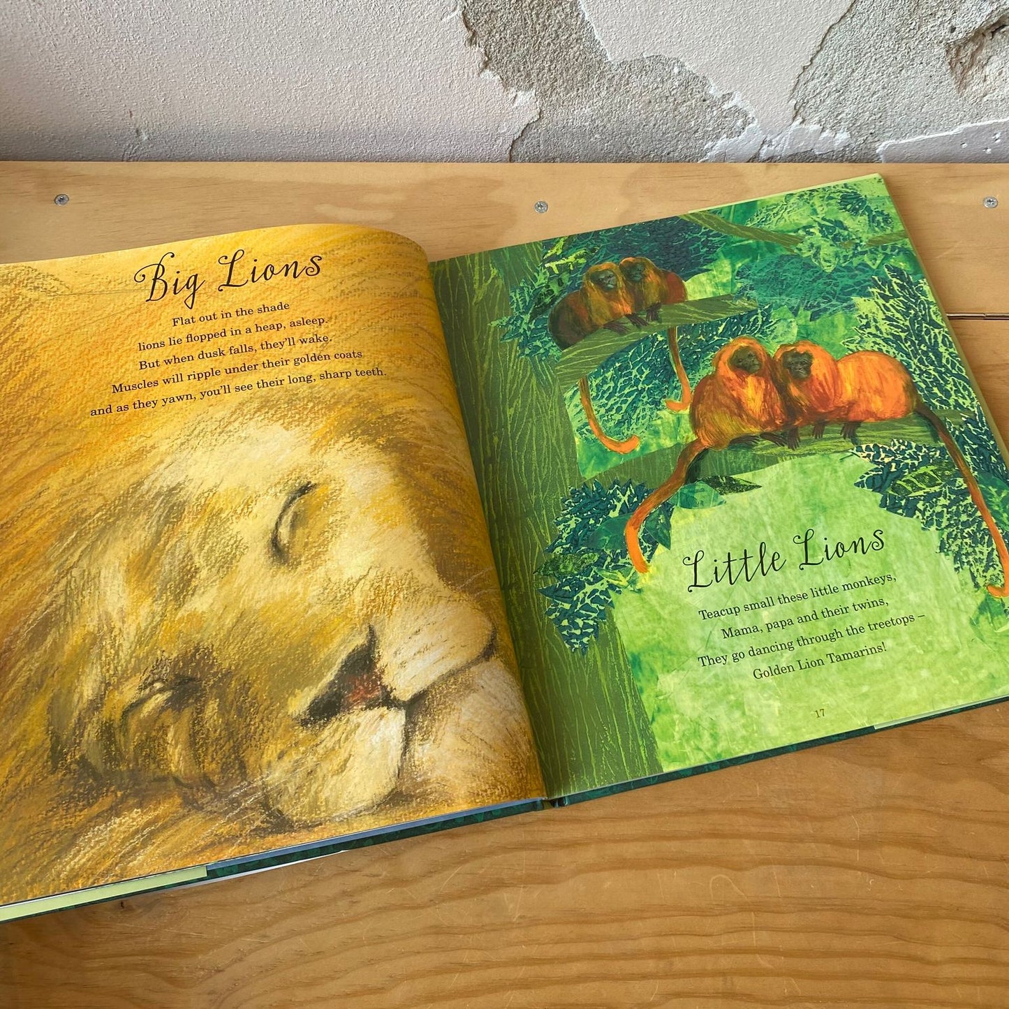 A First Book of Animals – Nicola Davies, Petr Horacek