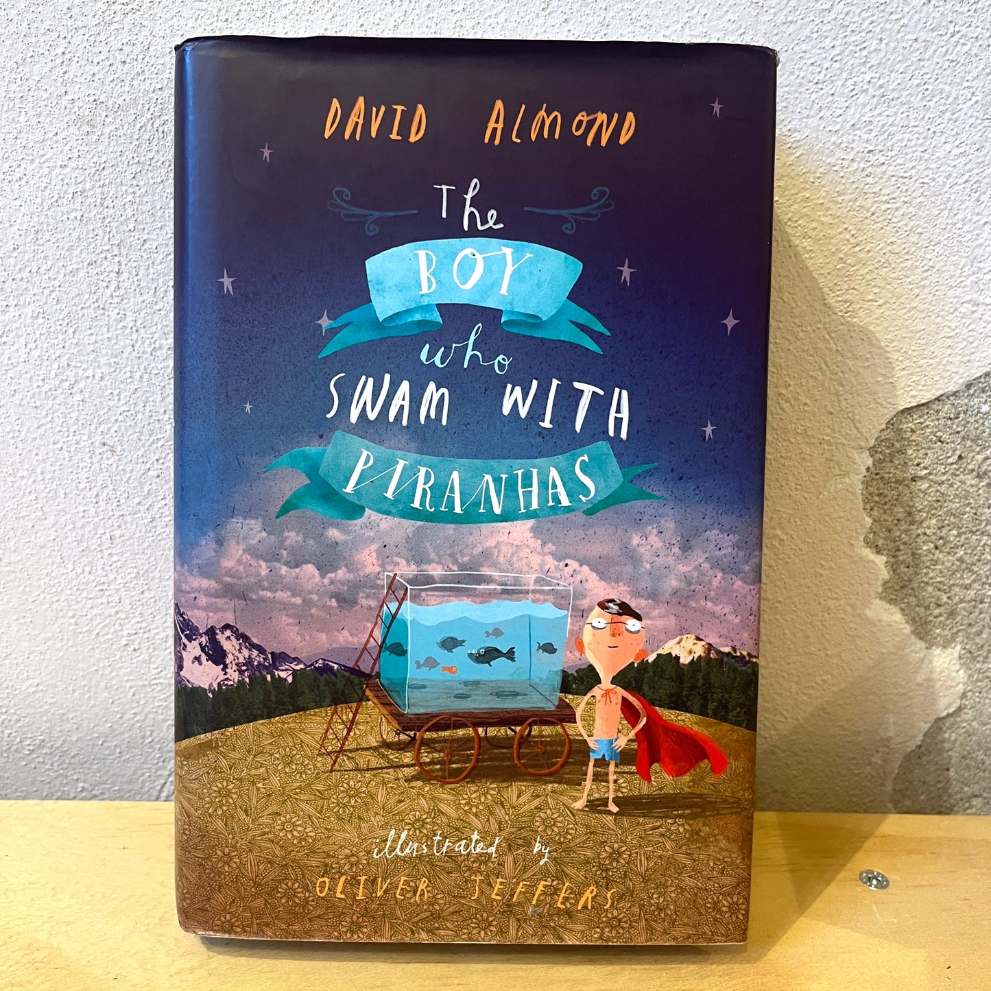 The Boy Who Swam with Piranhas – David Almond