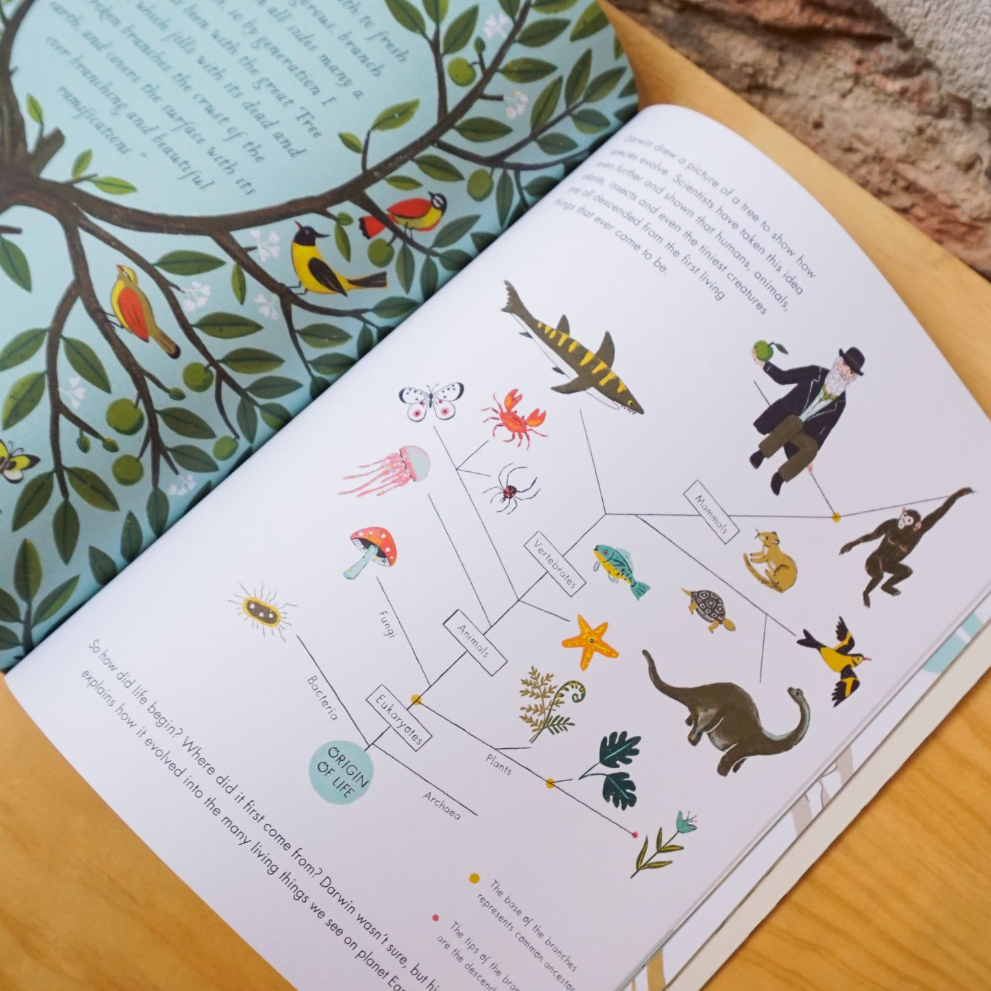 Charles Darwin's On the Origin of Species – Sabina Radeva
