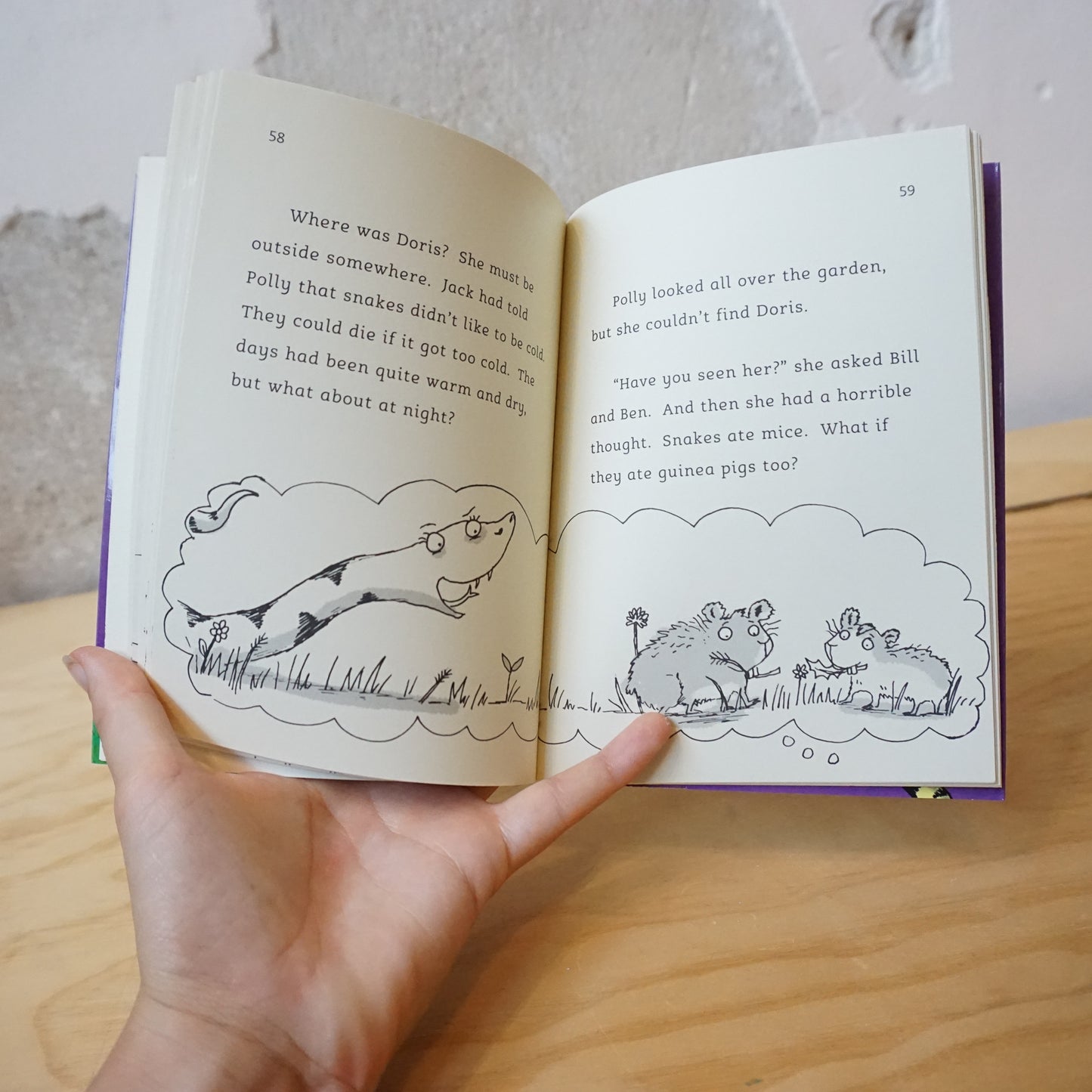 Little Gems: The Snake who Came to Stay - Julia Donaldson, Hannah Shaw