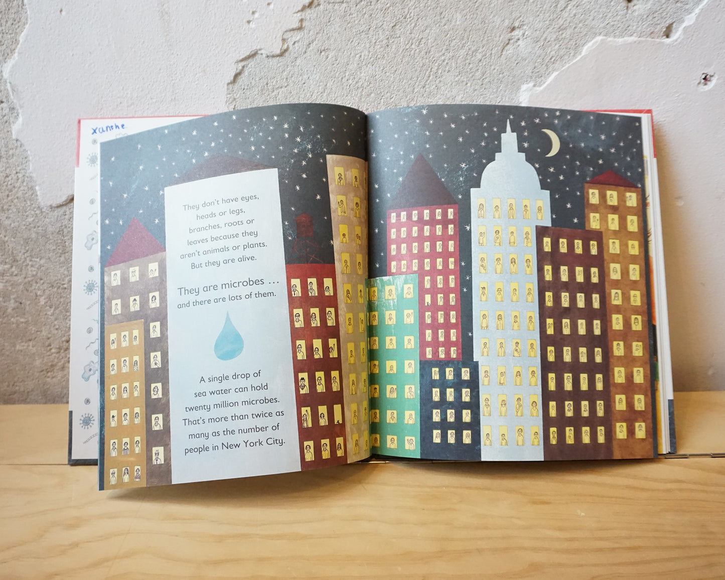 Tiny. The Invisible World of Microbes – Nicola Davies, Emily Sutton
