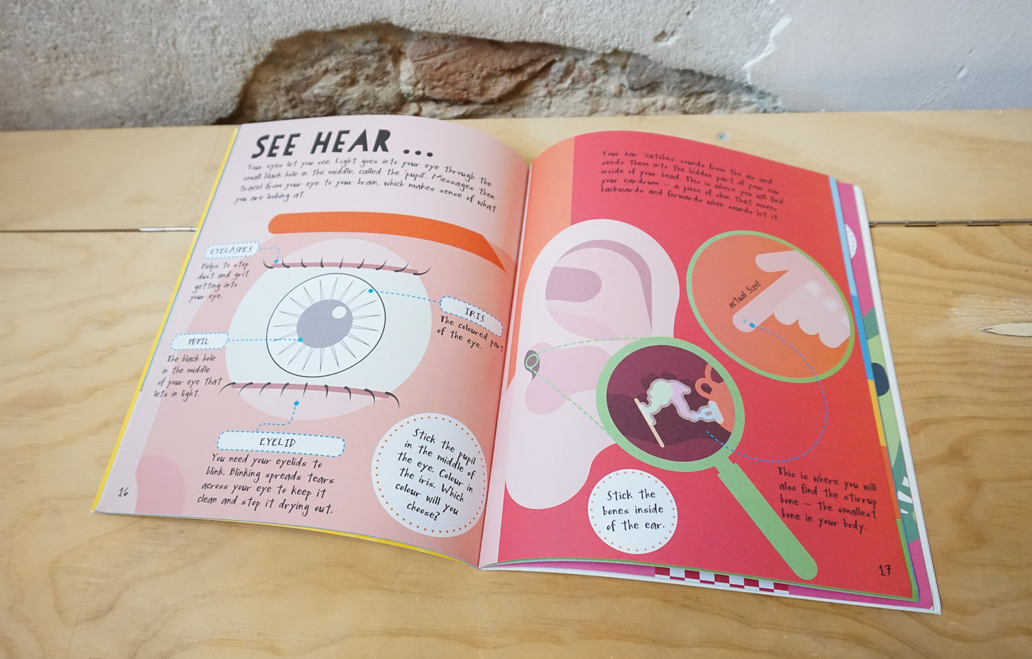 My Human Body Infographic Sticker Activity Book