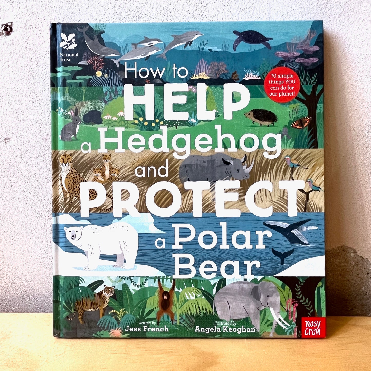 How to Help a Hedgehog and Protect a Polar Bear – Jess French, Angela Keoghan