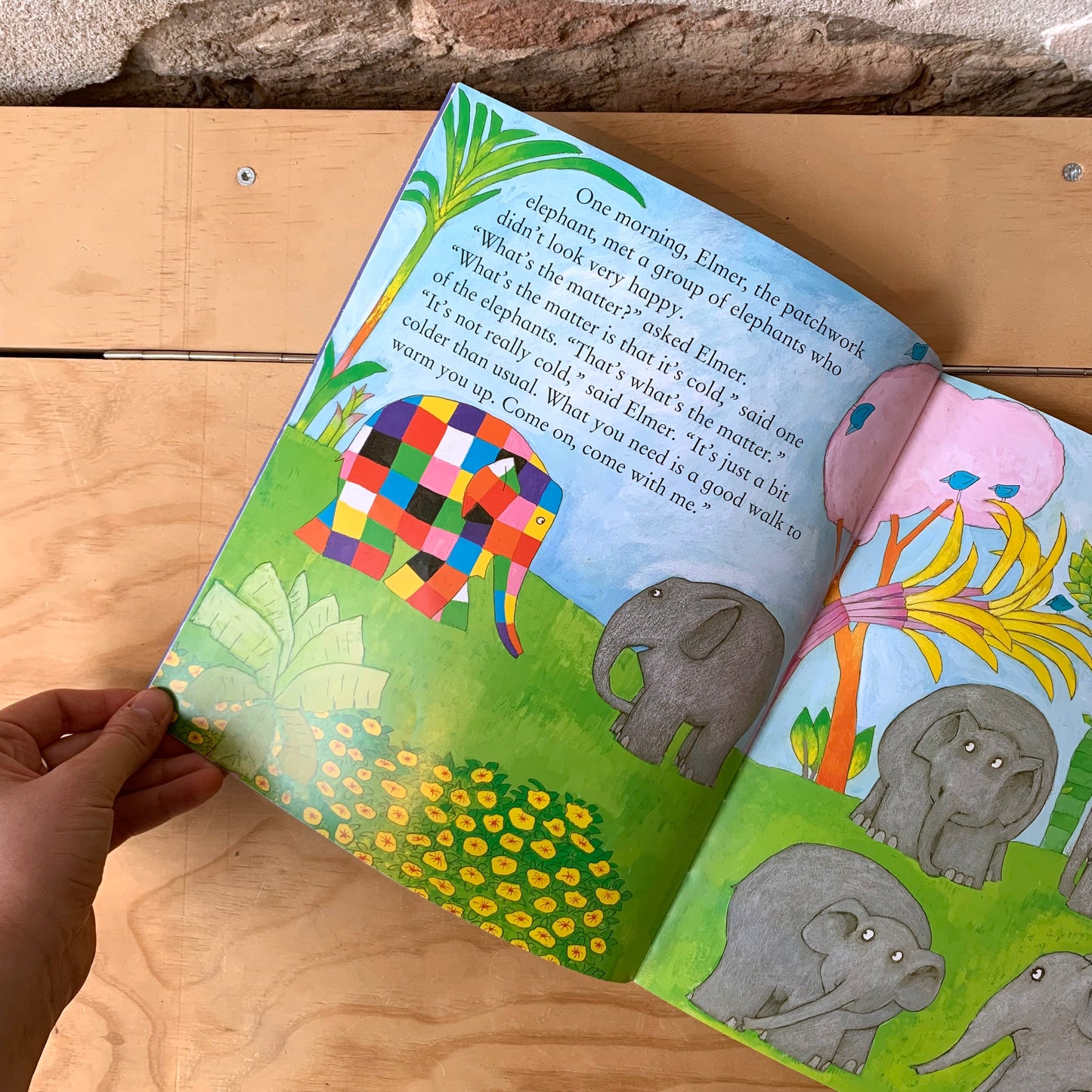Elmer in the Snow – David McKee