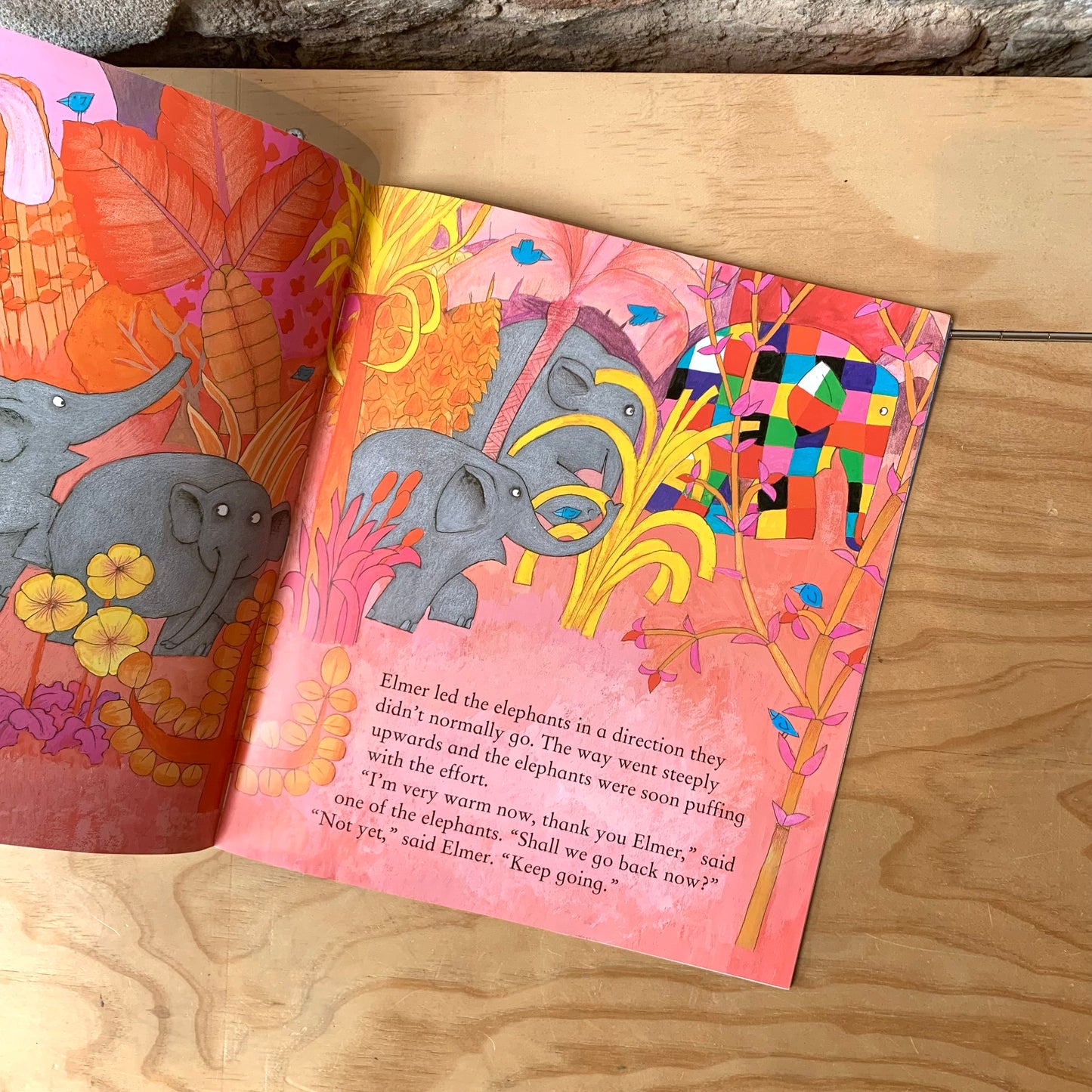 Elmer in the Snow – David McKee
