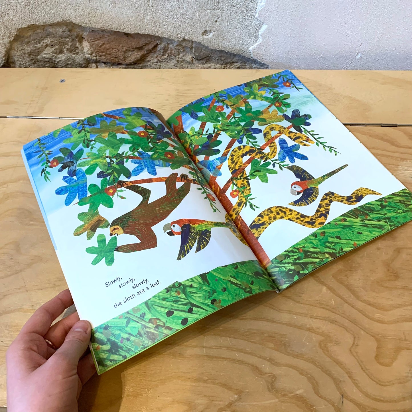 "Slowly, Slowly, Slowly", Said the Sloth – Eric Carle