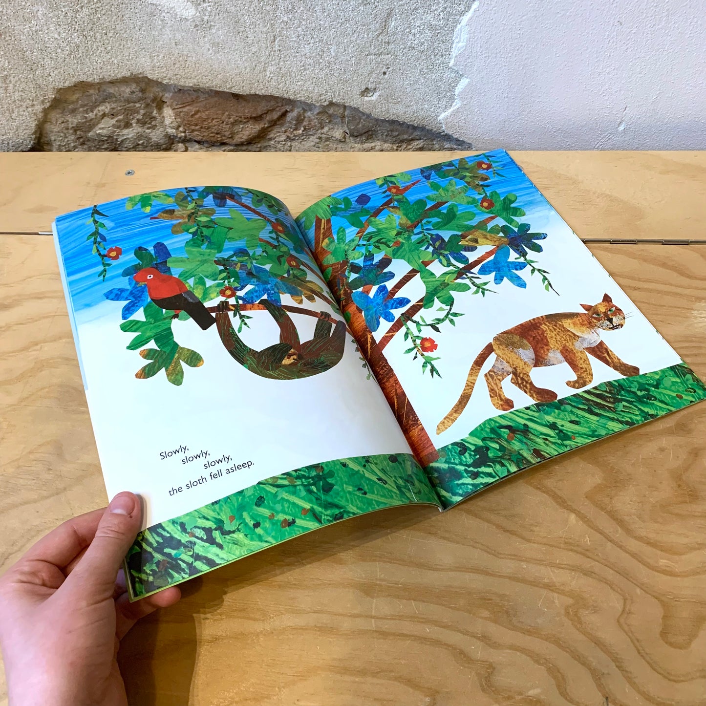 "Slowly, Slowly, Slowly", Said the Sloth – Eric Carle