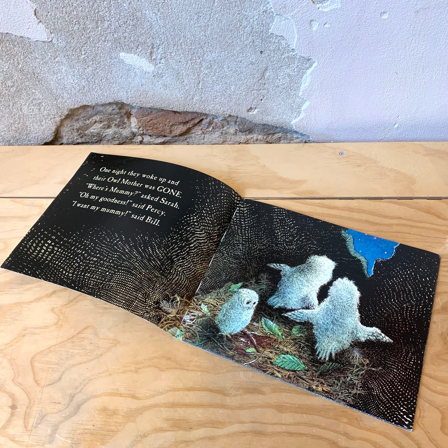 Owl Babies – Martin Waddell, Partick Benson