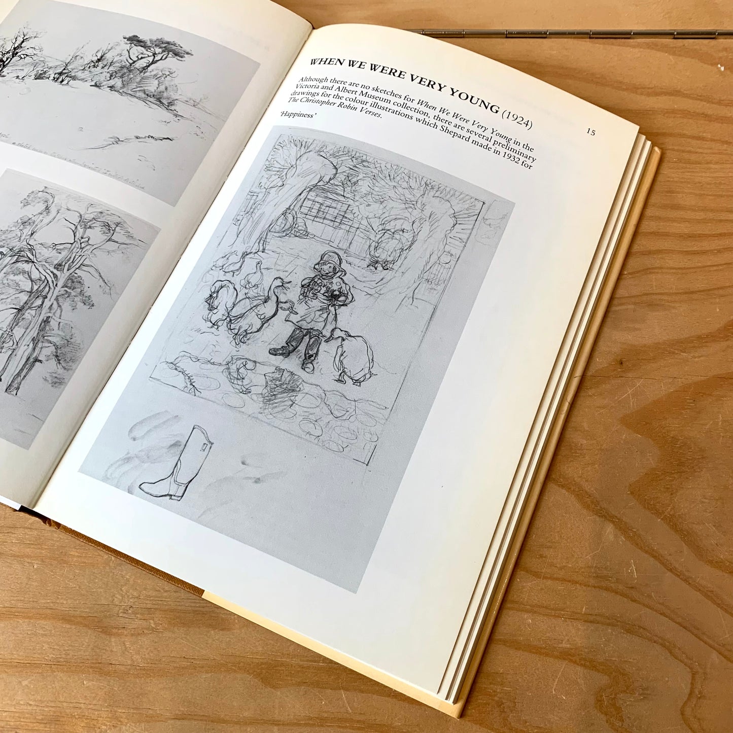 The Pooh Sketchbook