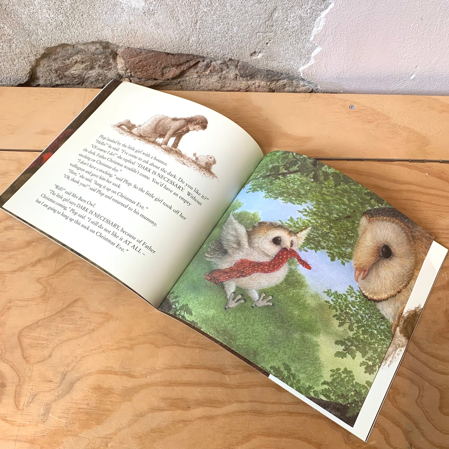 The Owl Who Was Afraid of the Dark – Jill Tomlinson, Paul Howard