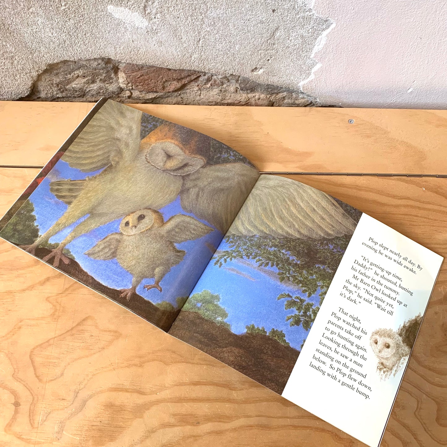 The Owl Who Was Afraid of the Dark – Jill Tomlinson, Paul Howard