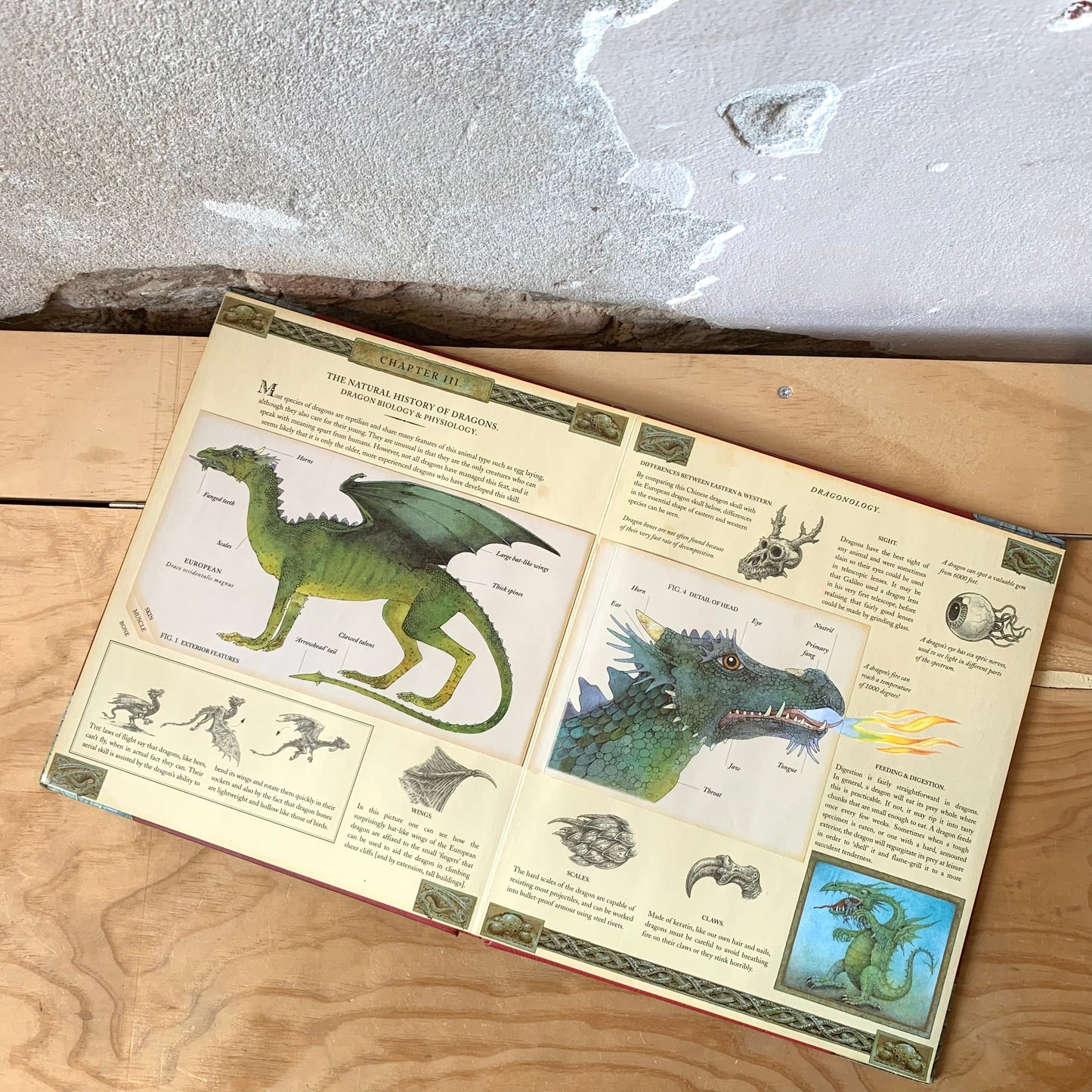Dragonology. The Complete Book of Dragons