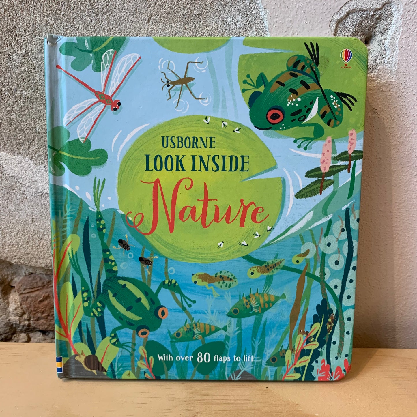 Usborne Look Inside Nature