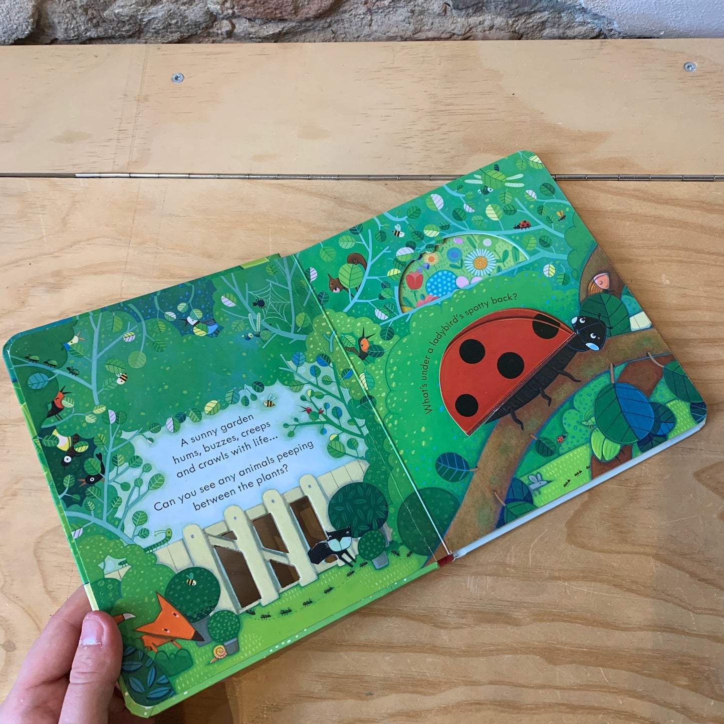 Usborne Peep Inside the Garden