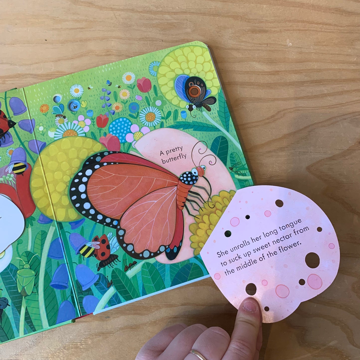 Usborne Peep Inside the Garden