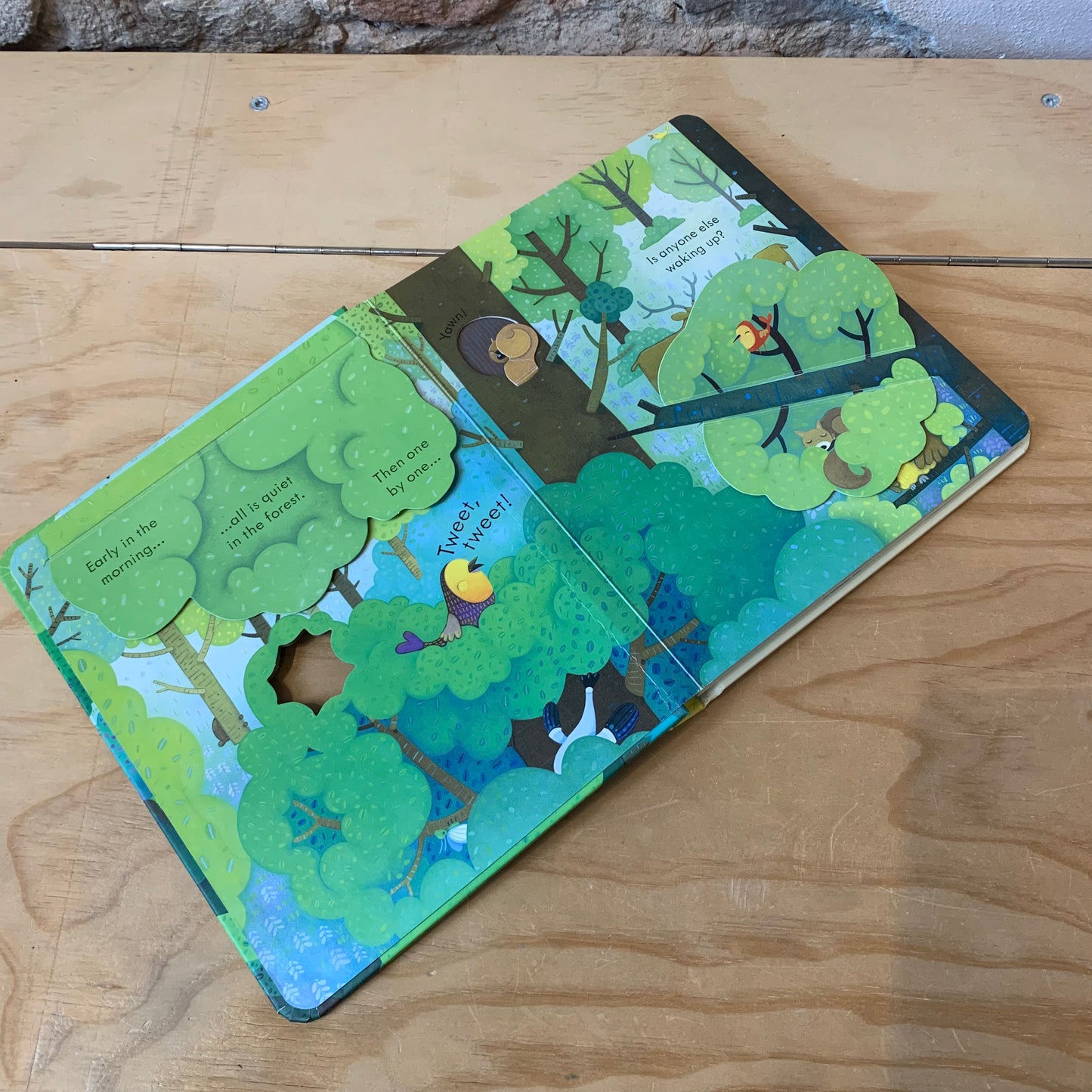 Usborne Peep Inside the Forest