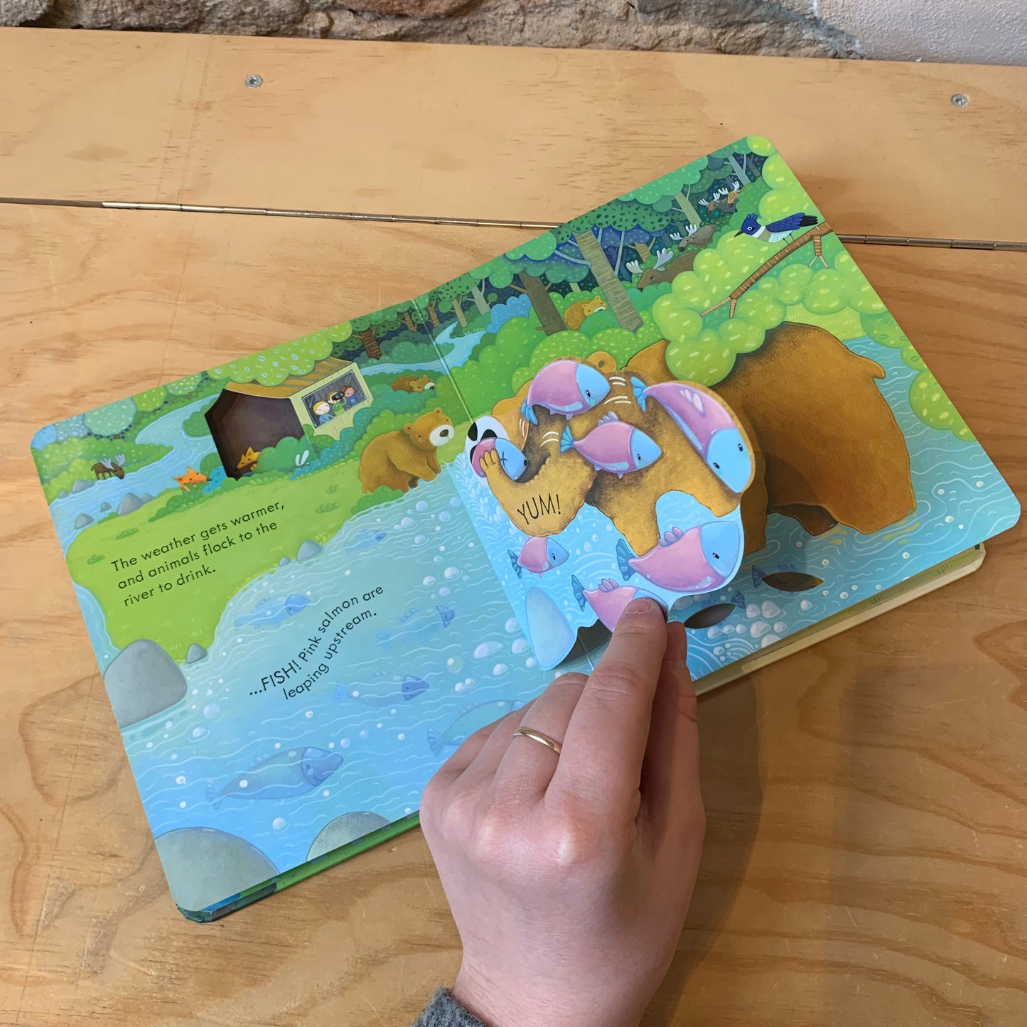 Usborne Peep Inside the Forest