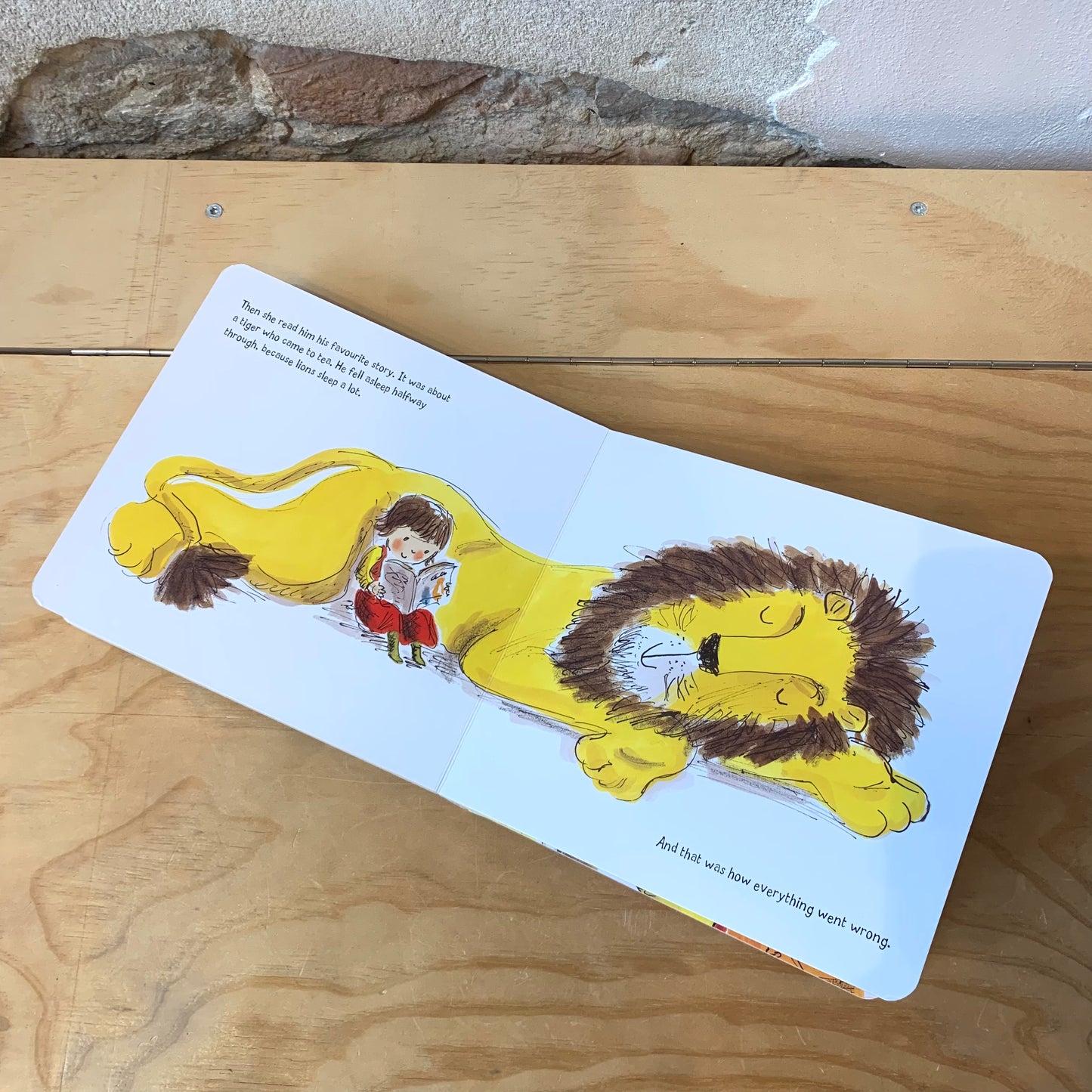 How to Hide a Lion – Helen Stephens