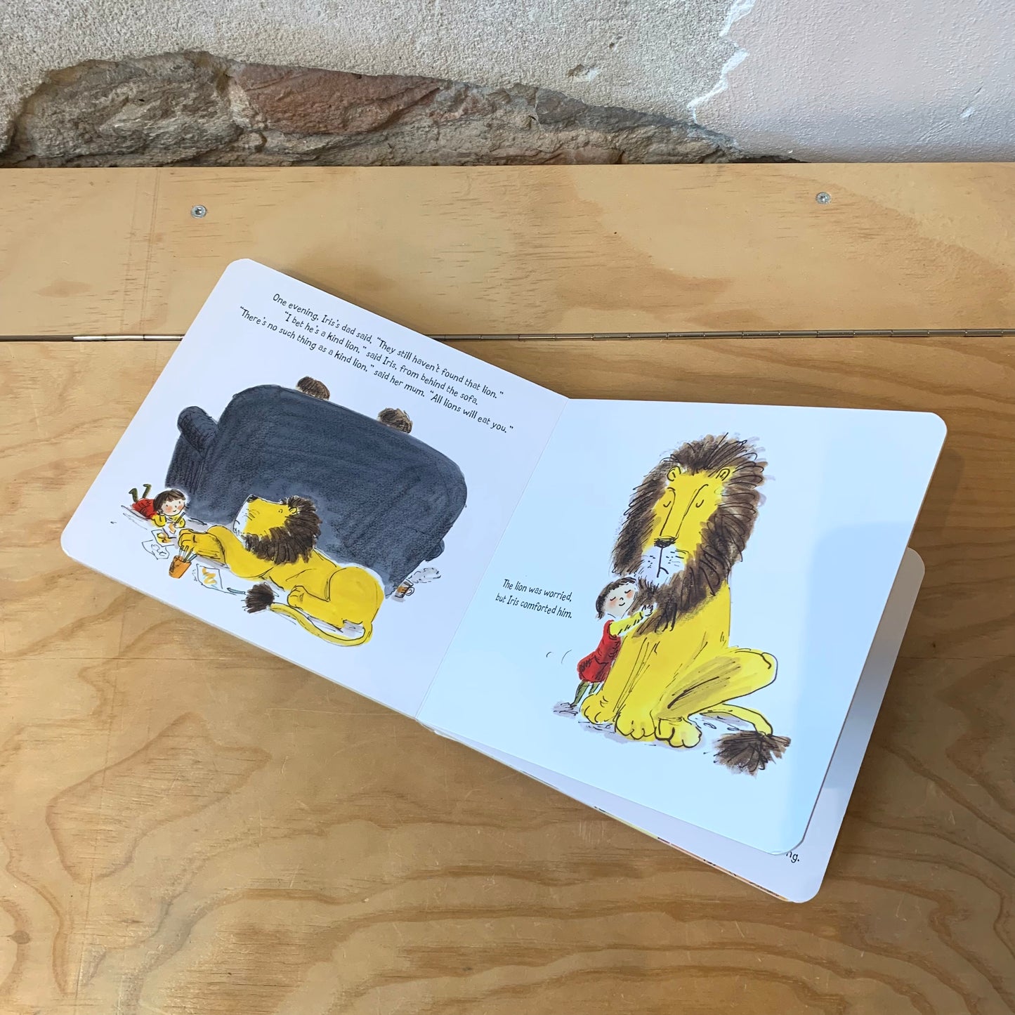 How to Hide a Lion – Helen Stephens