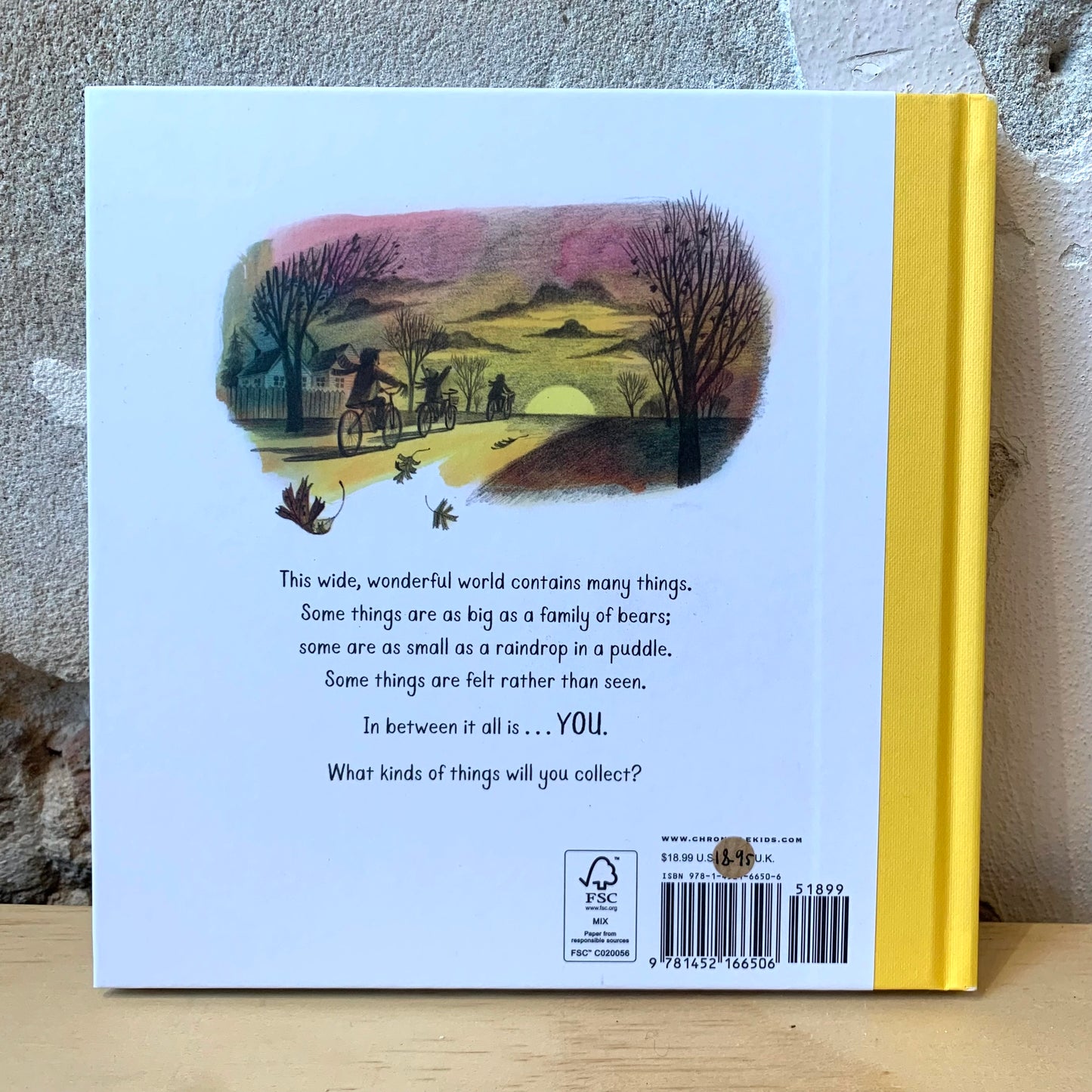 Big and Small and In-Between – Carter Higgins, Daniel Miyares