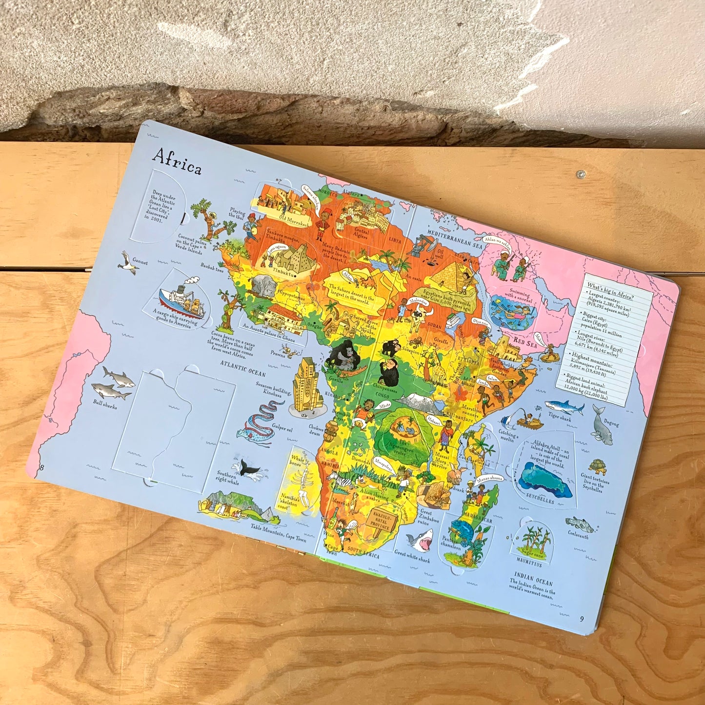 Usborne Lift-the-Flap Picture Atlas