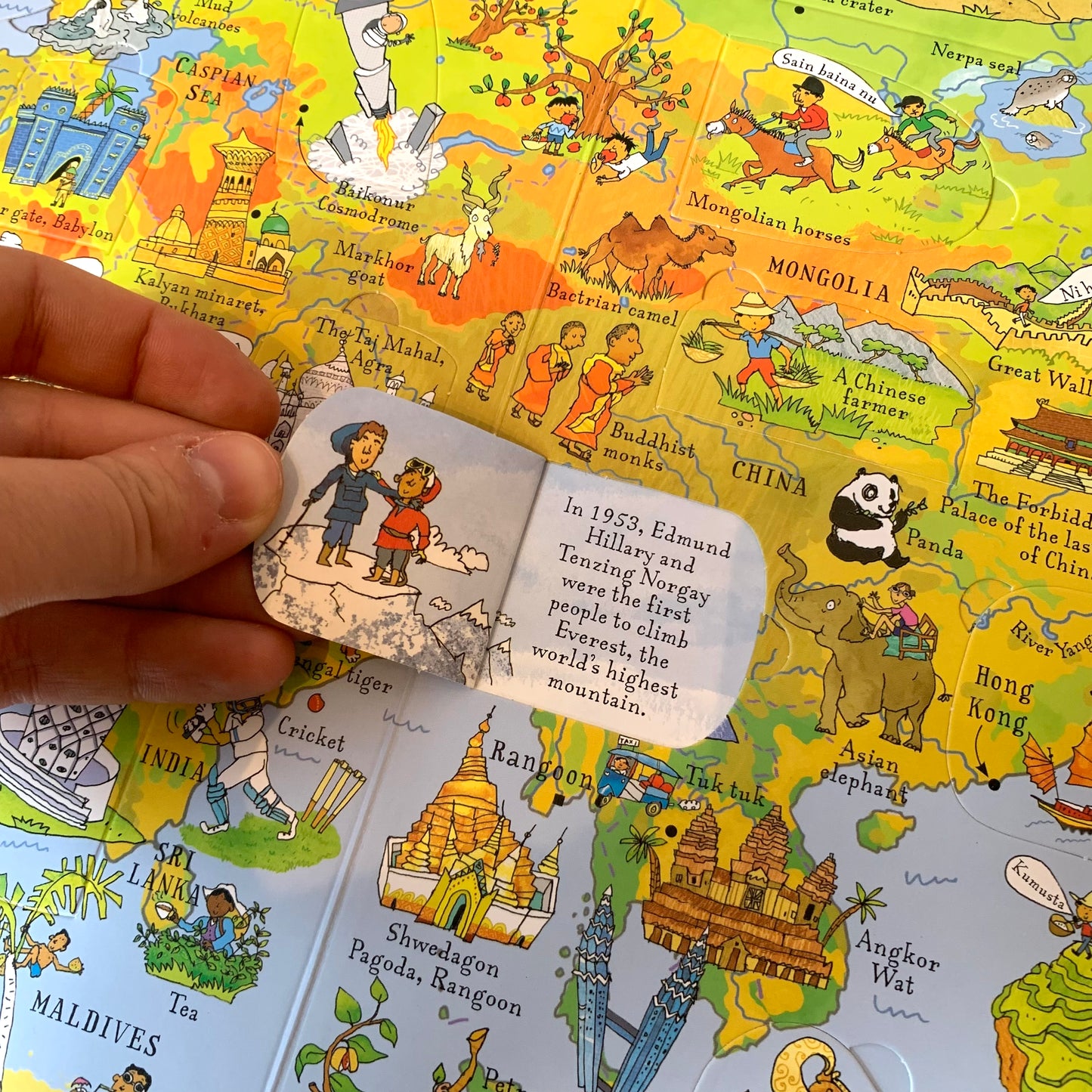 Usborne Lift-the-Flap Picture Atlas