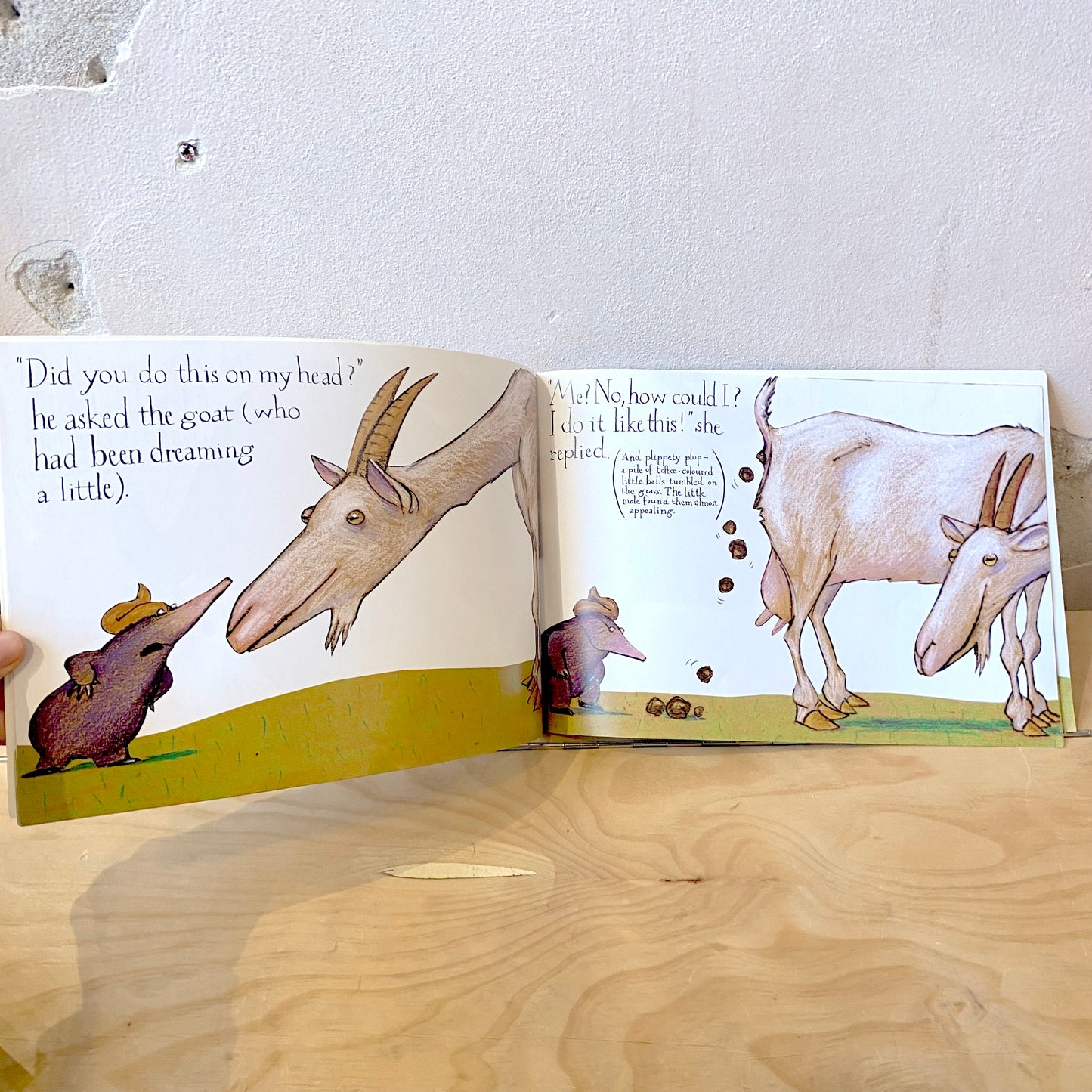 The Story of the Little Mole Who Knew It Was None of His Business / Werner Holzwarth, Wolf Erlbruch