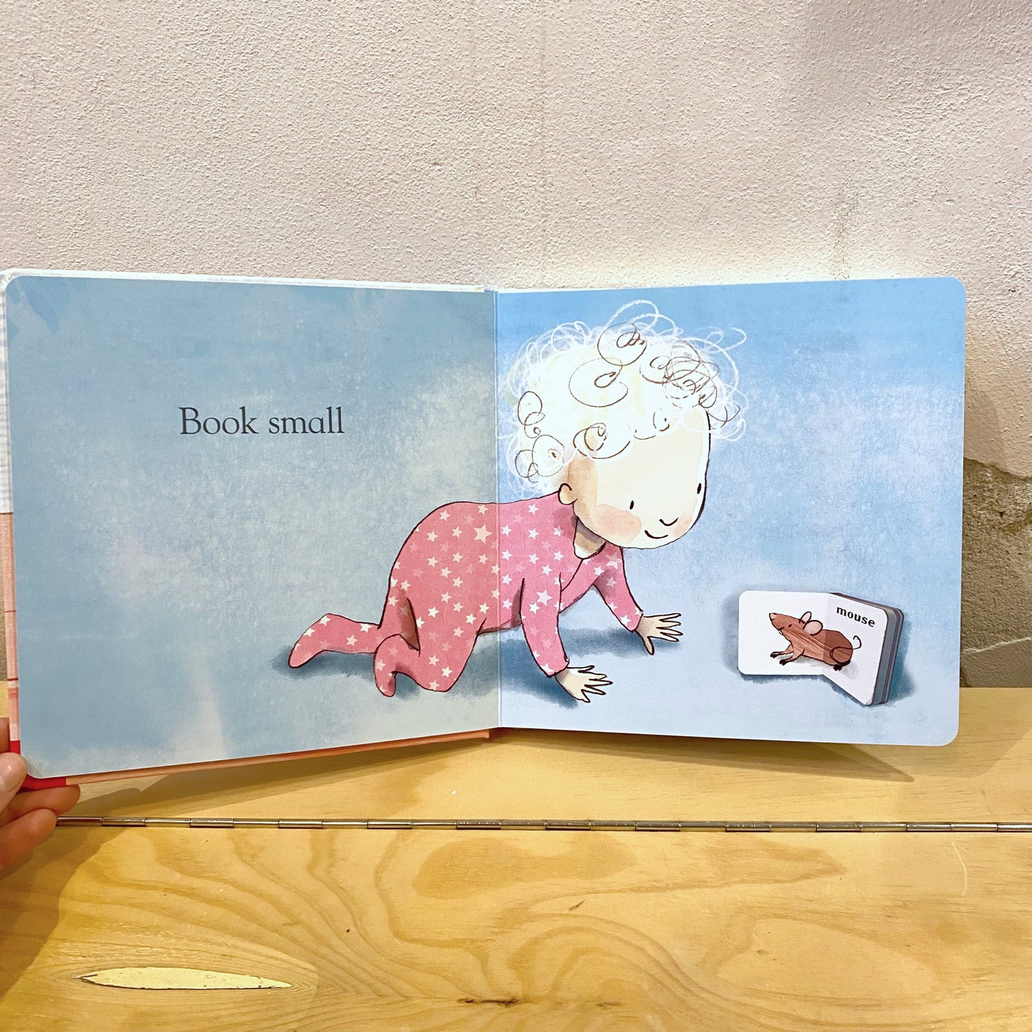 Books Always Everywhere / Jane Blatt, Sarah Massini