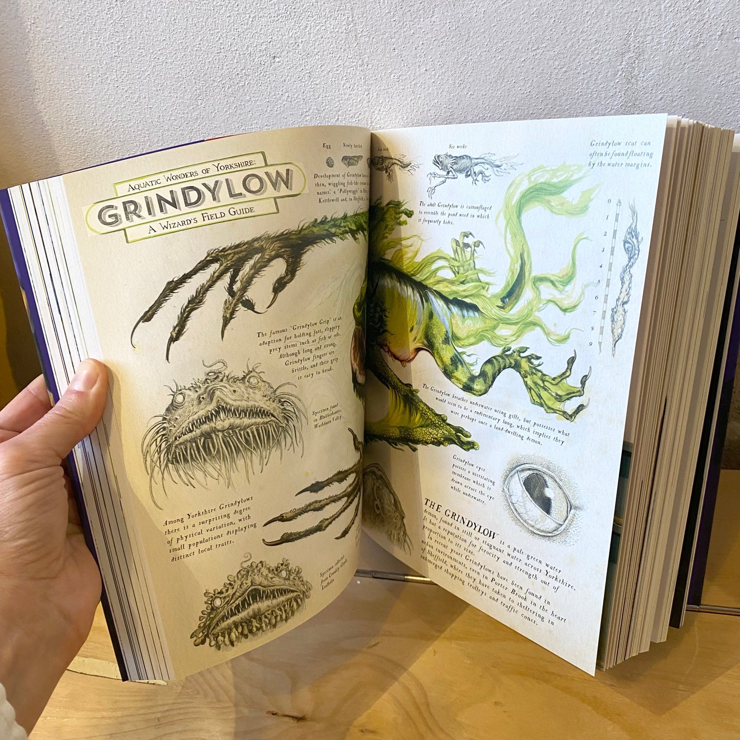 Harry Potter and the Prisoner of Azkaban (illustrated) - J.K. Rowling, Jim Kay