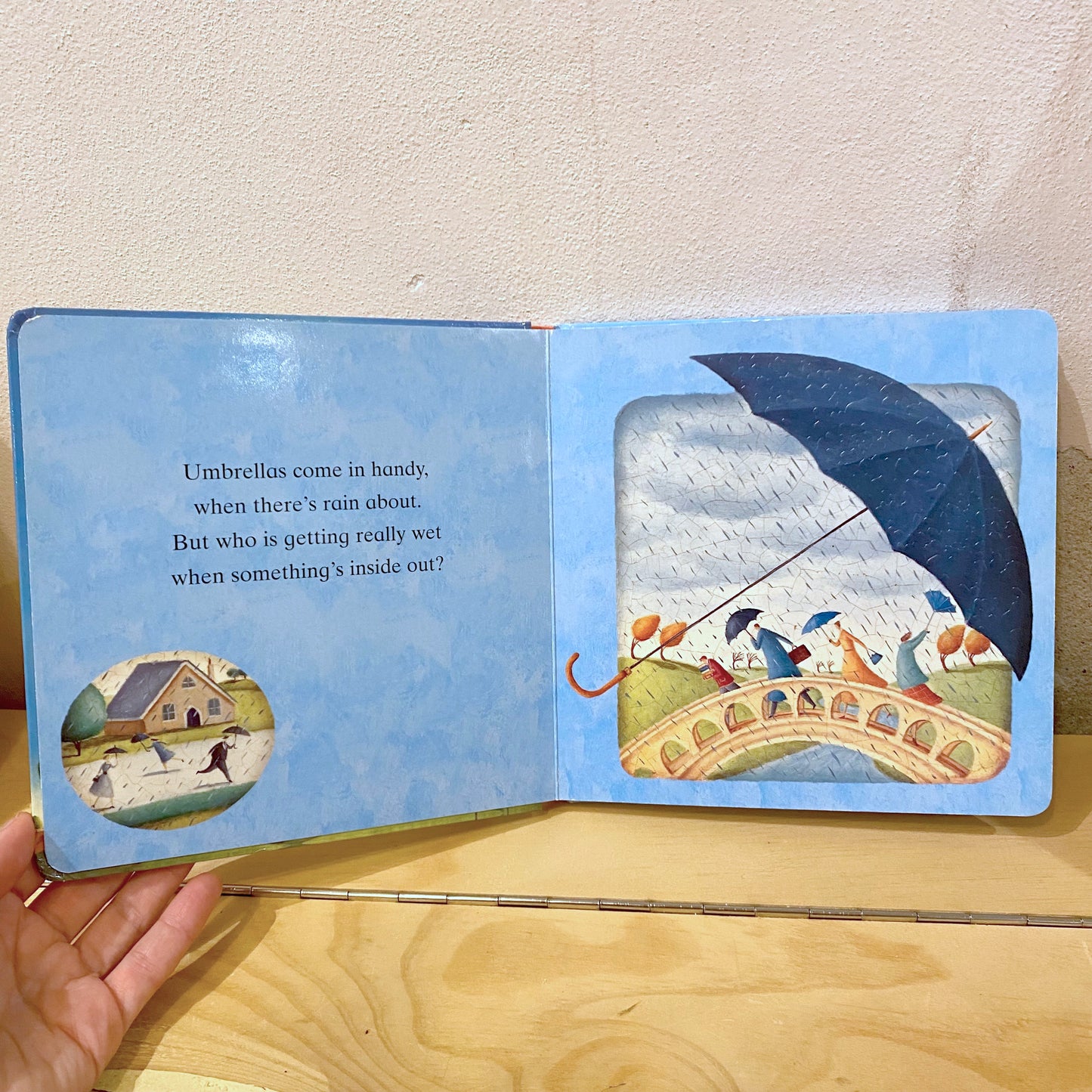 Rain and Shine (board book) - Alison Jay