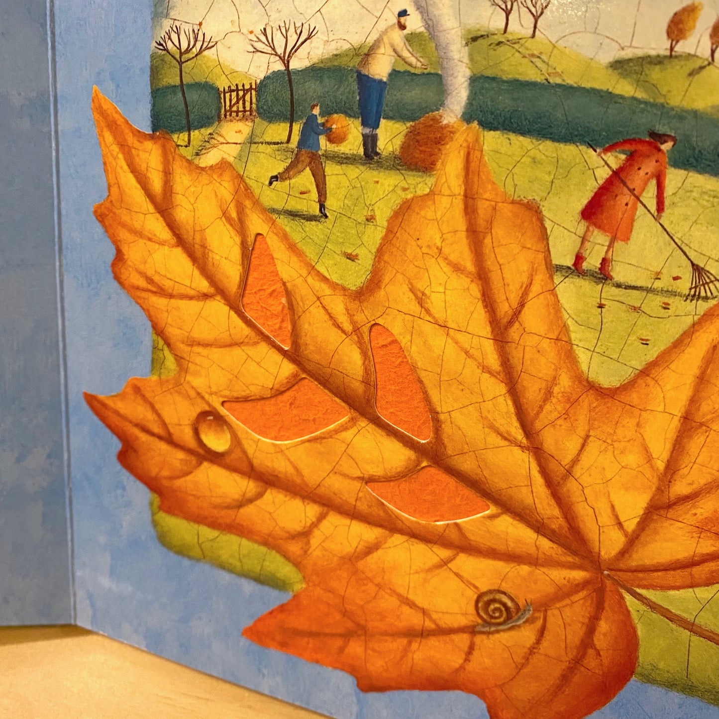 Rain and Shine (board book) - Alison Jay