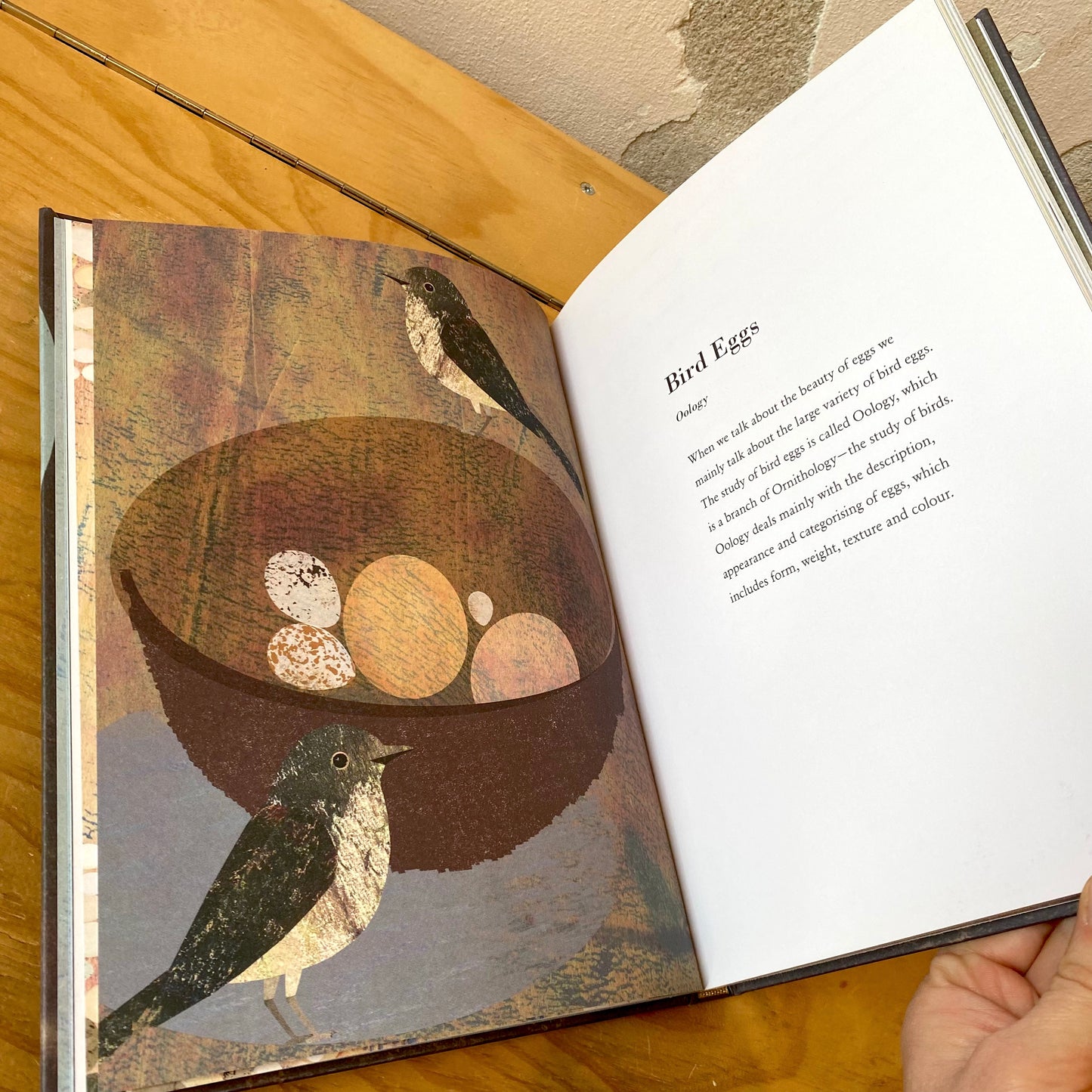 The Egg - Britta Teckentrup