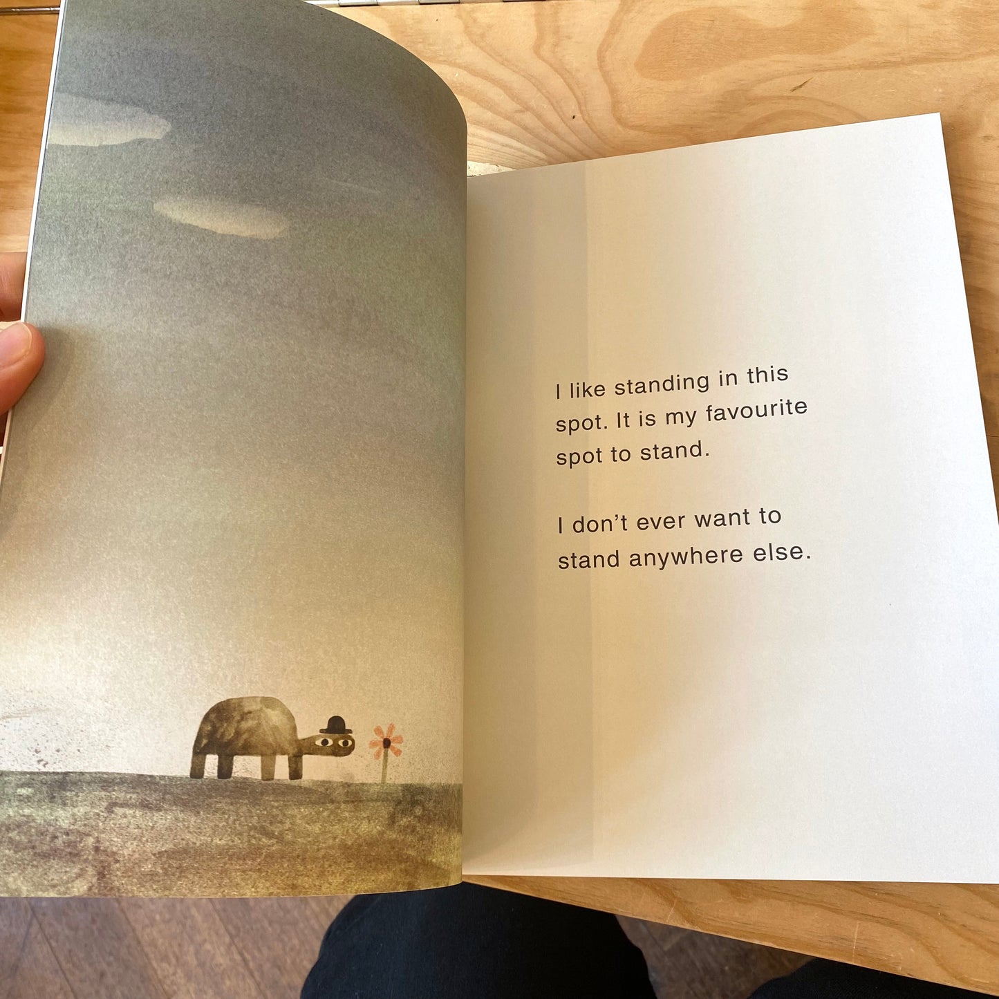 The Rock From the Sky - Jon Klassen