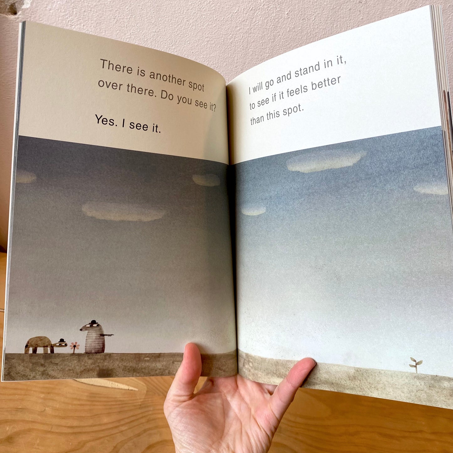 The Rock From the Sky - Jon Klassen