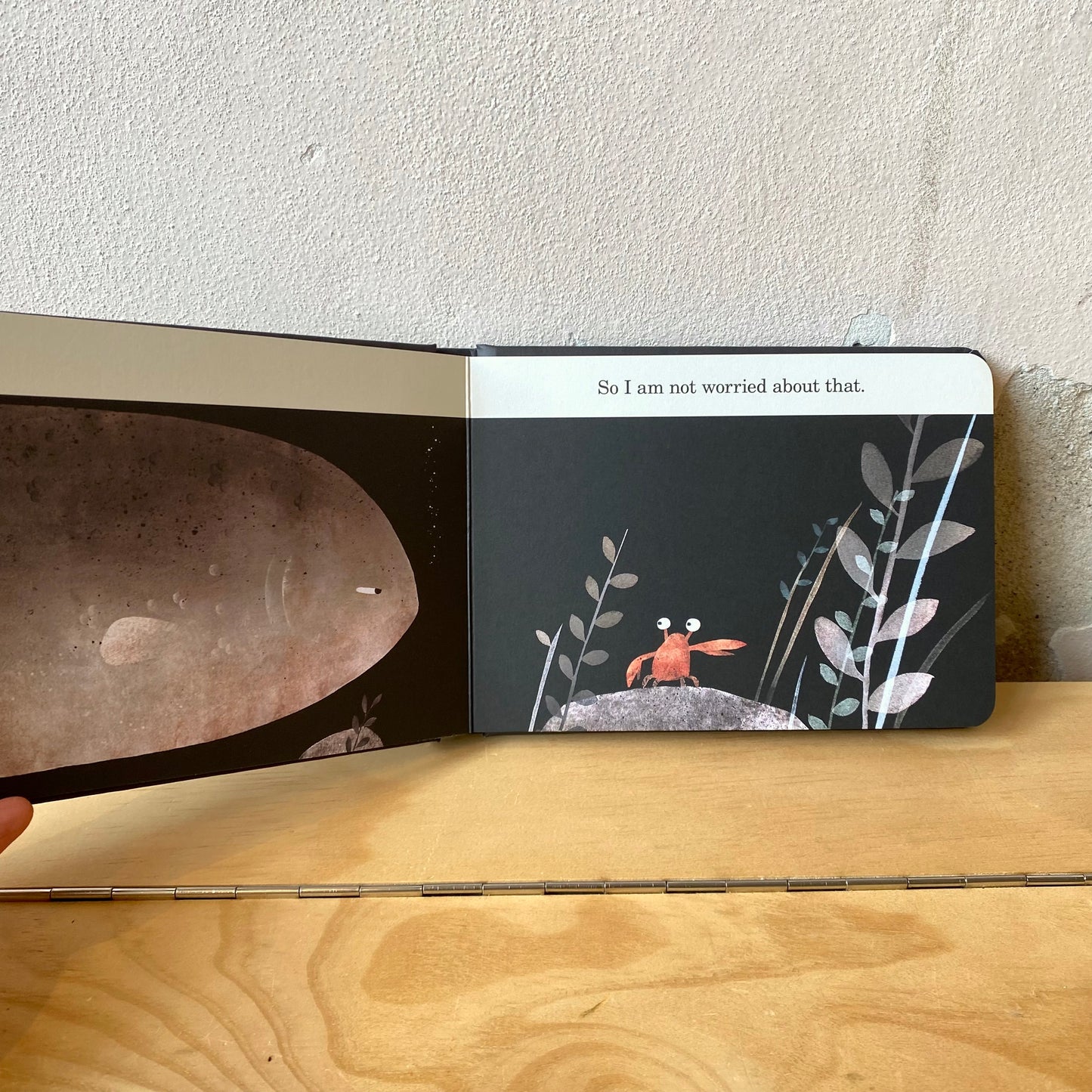 This Is Not My Hat (board book) - Jon Klassen