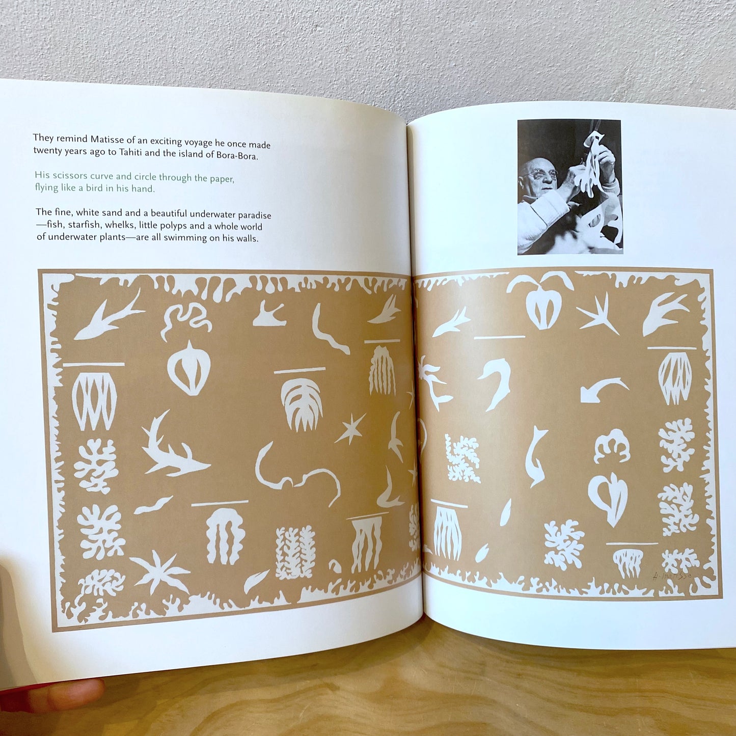 Matisse: Cut-Out Fun with Matisse - Nina and Max Hollein