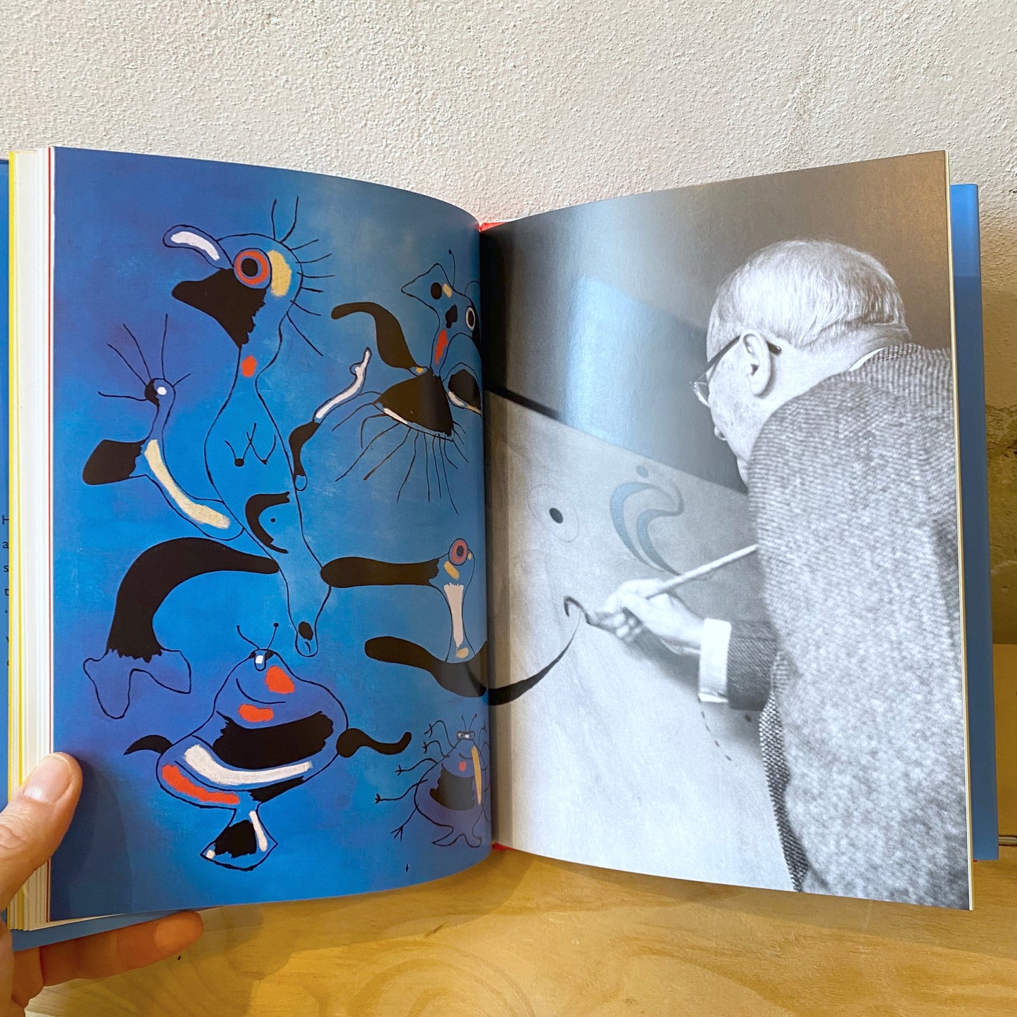Miro's Magic Animals - Antony Penrose