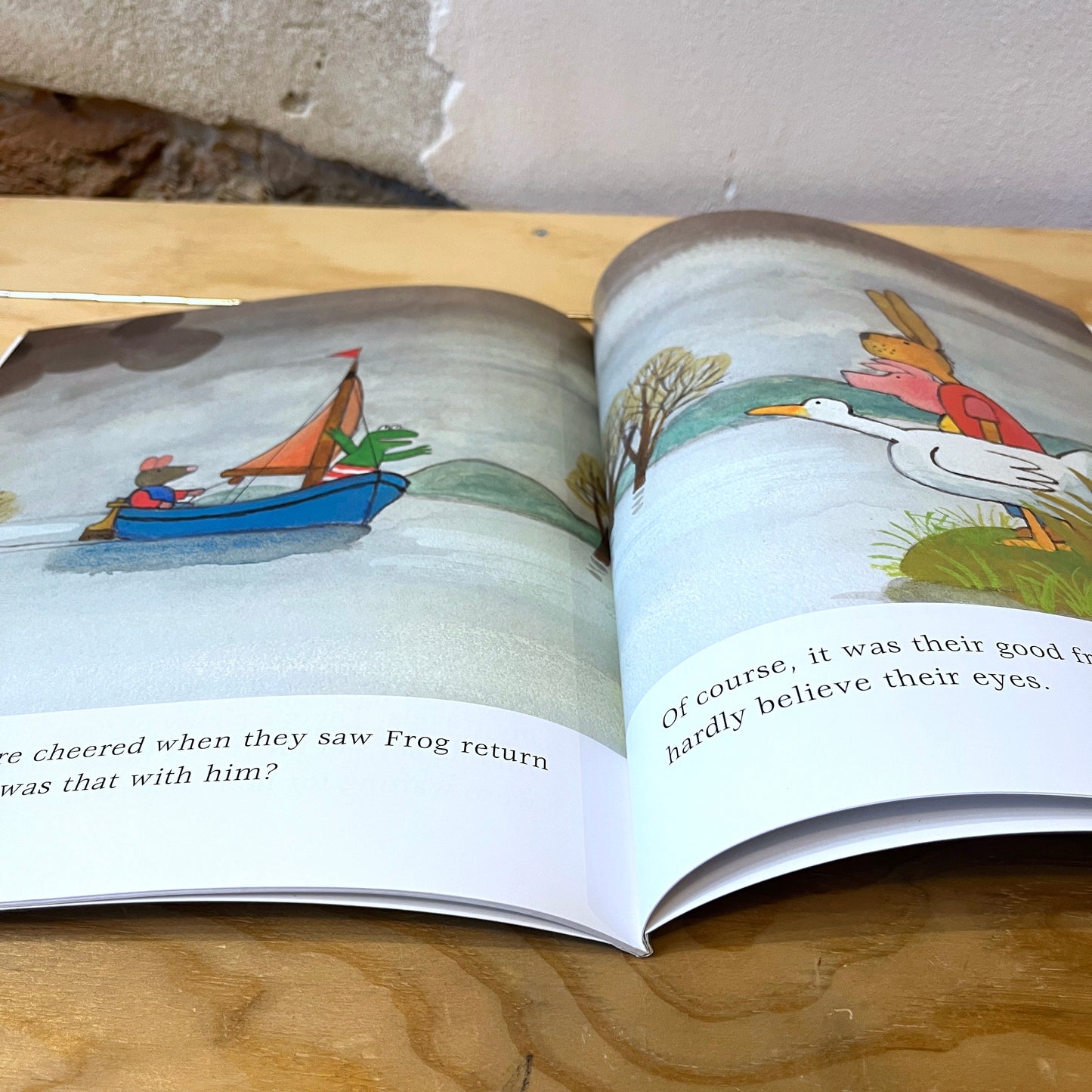Frog is a Hero – Max Velthuijs