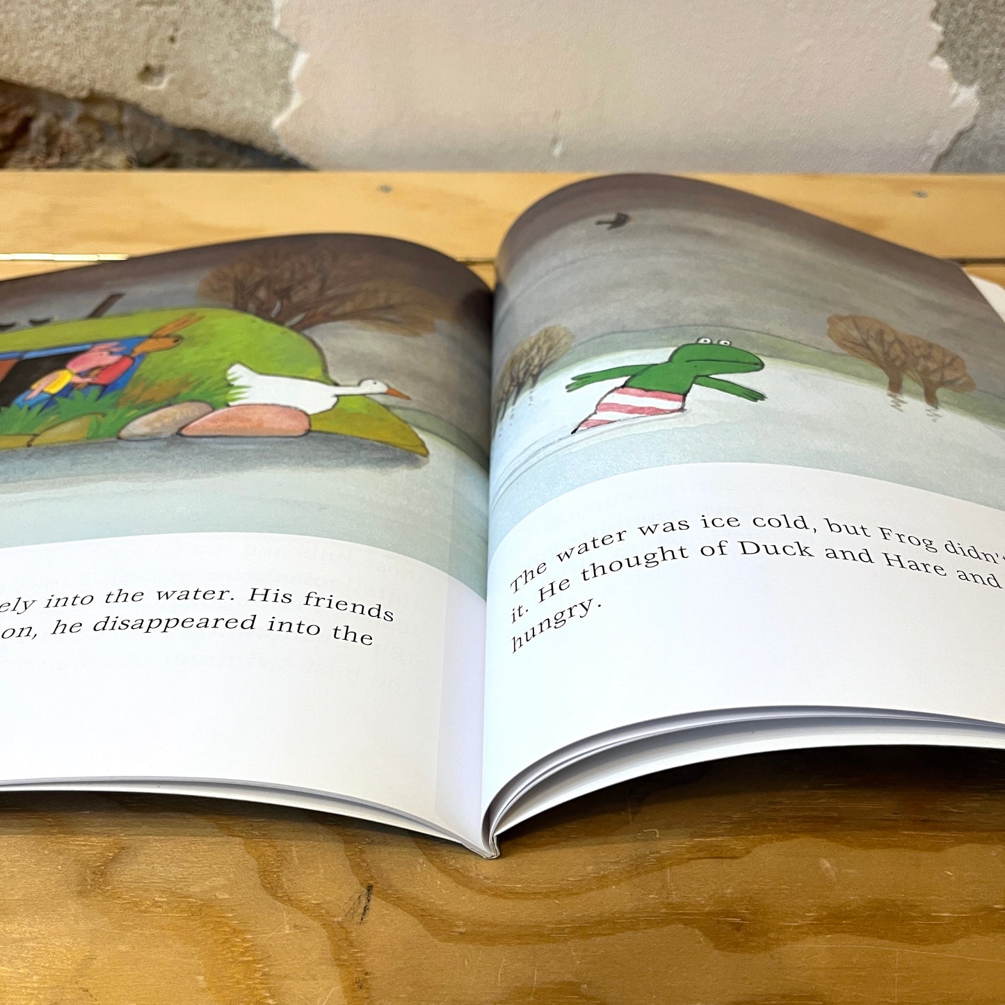 Frog is a Hero – Max Velthuijs