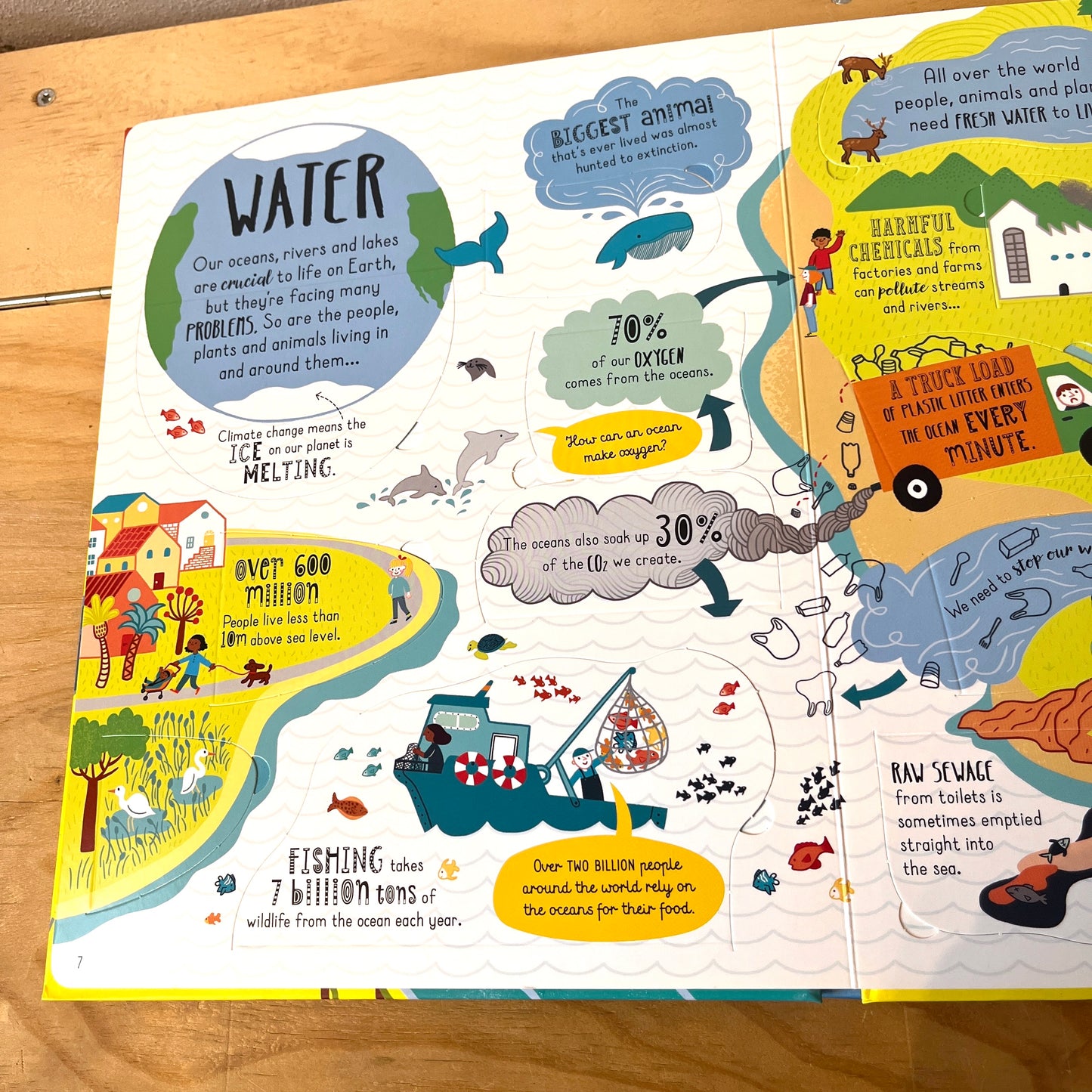 Lift-the-Flap: Looking After Our Planet
