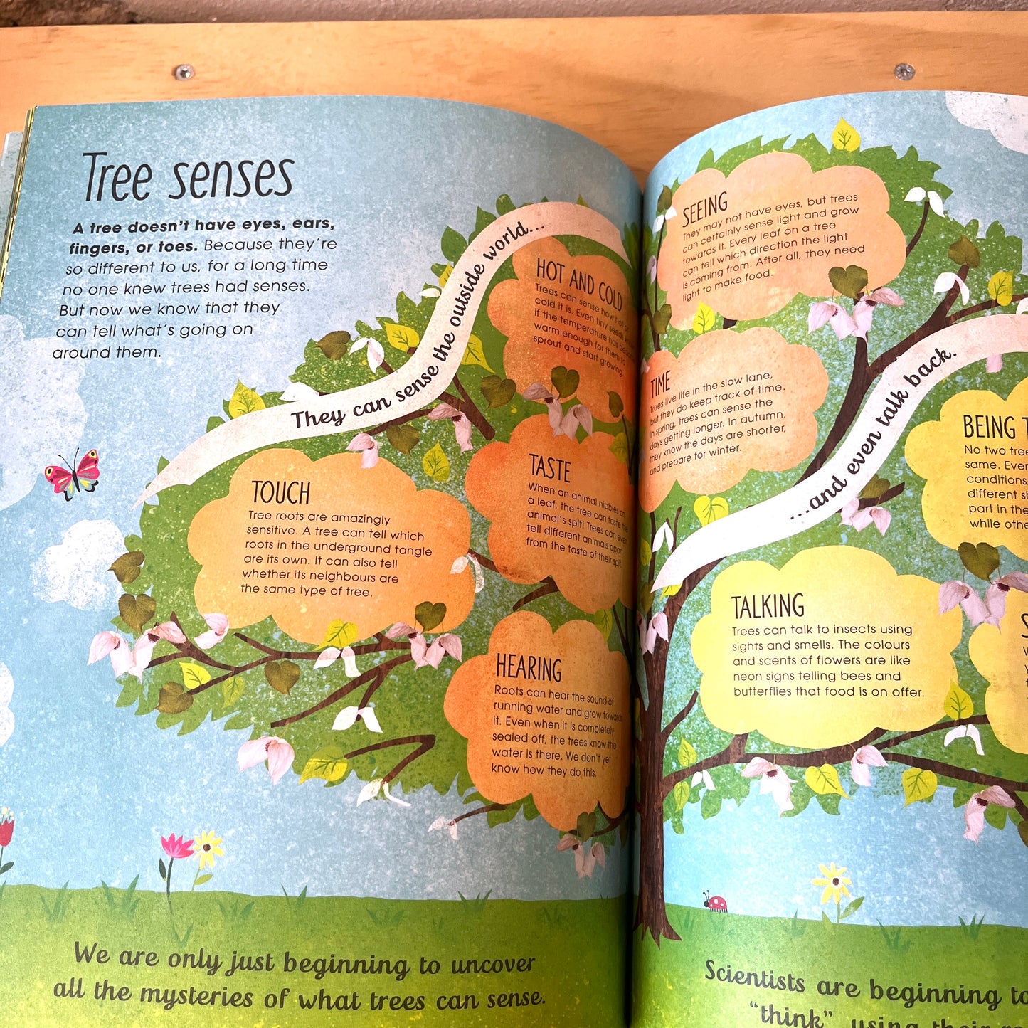 The Magic & Mystery of Trees – Jen Green, Claire McElfatrick
