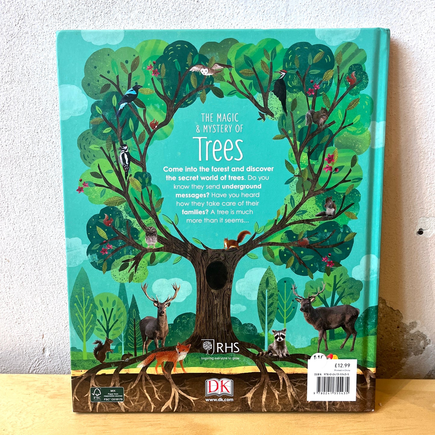 The Magic & Mystery of Trees – Jen Green, Claire McElfatrick