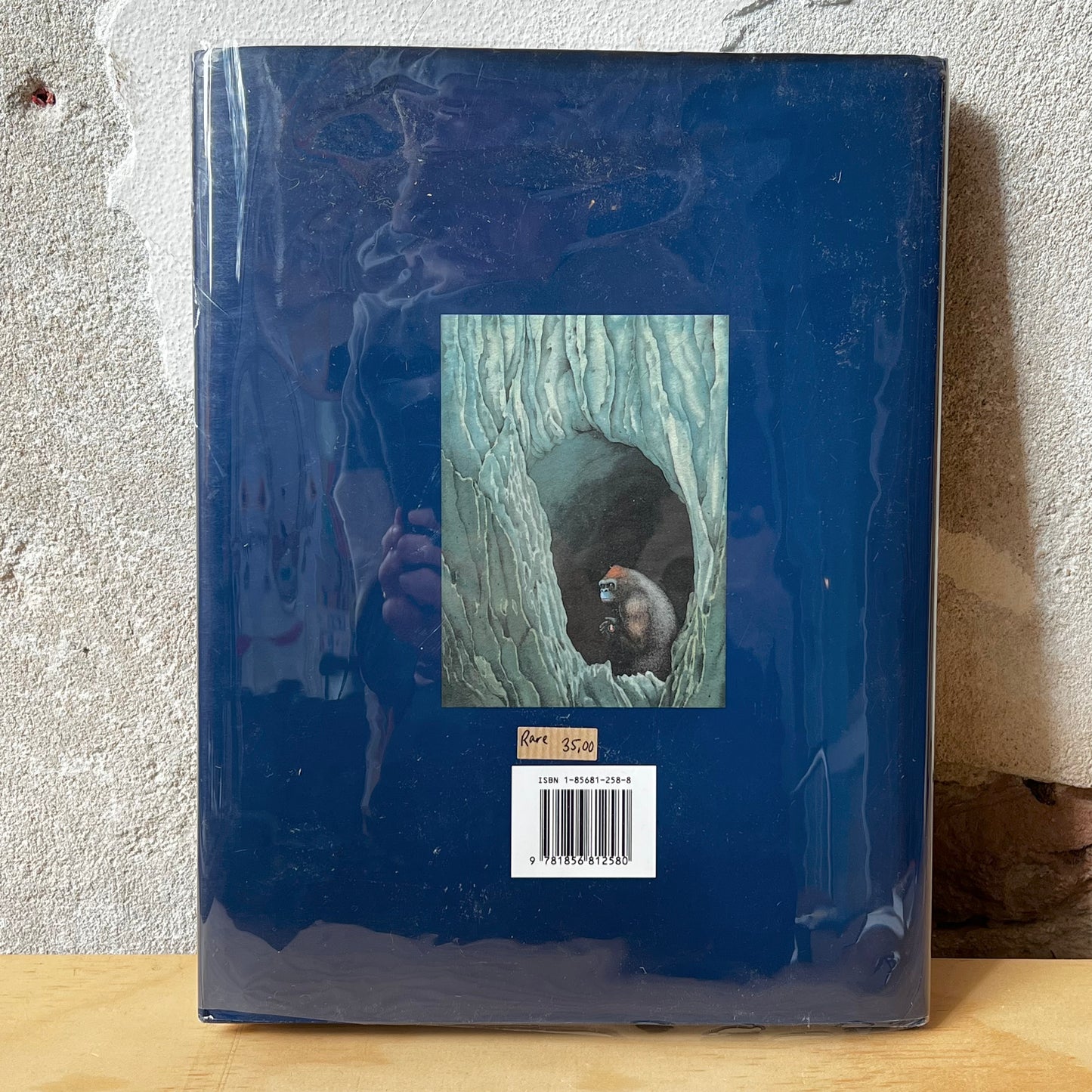 King Kong – Anthony Browne
