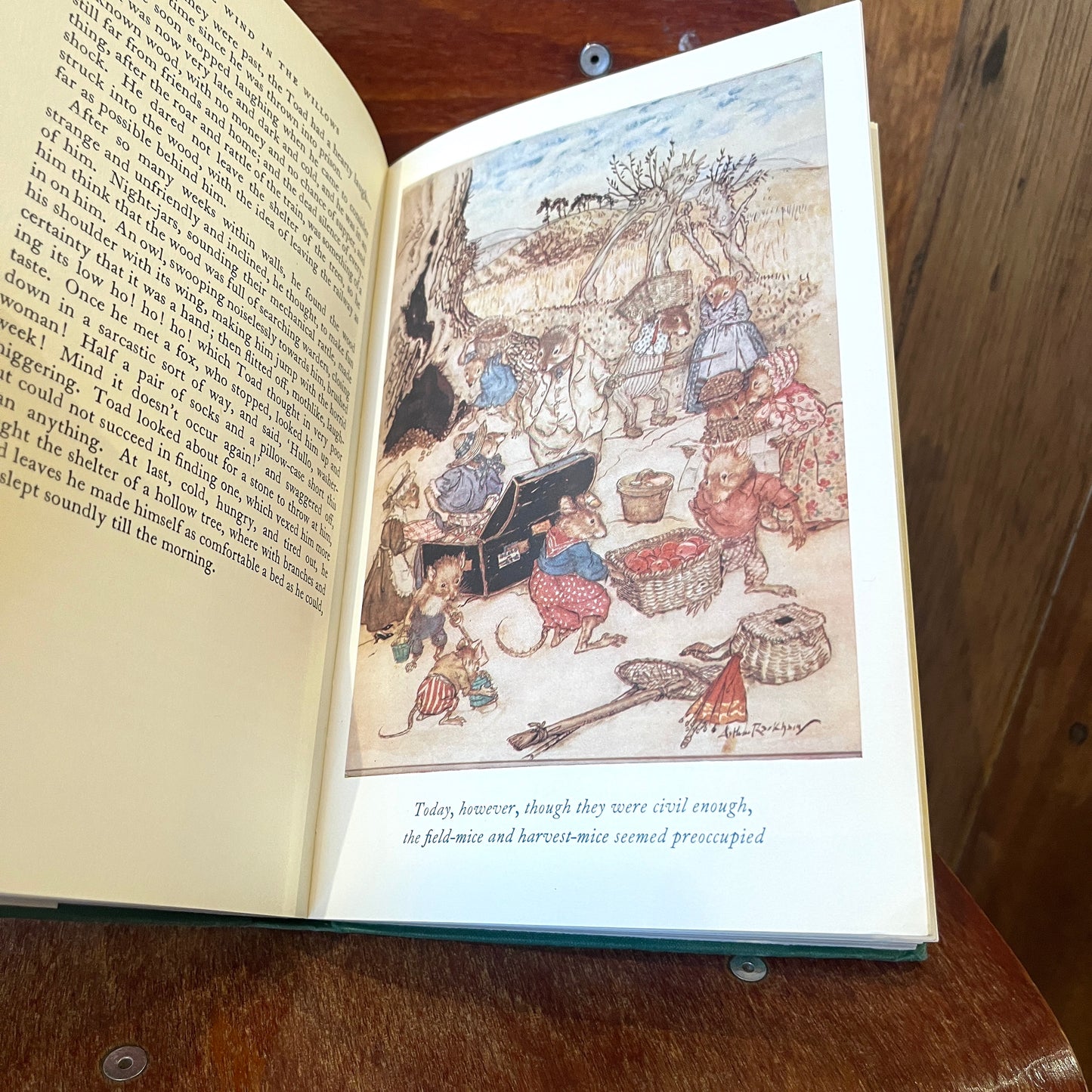 The Wind in the Willows – Kenneth Grahame, Arthur Rackham