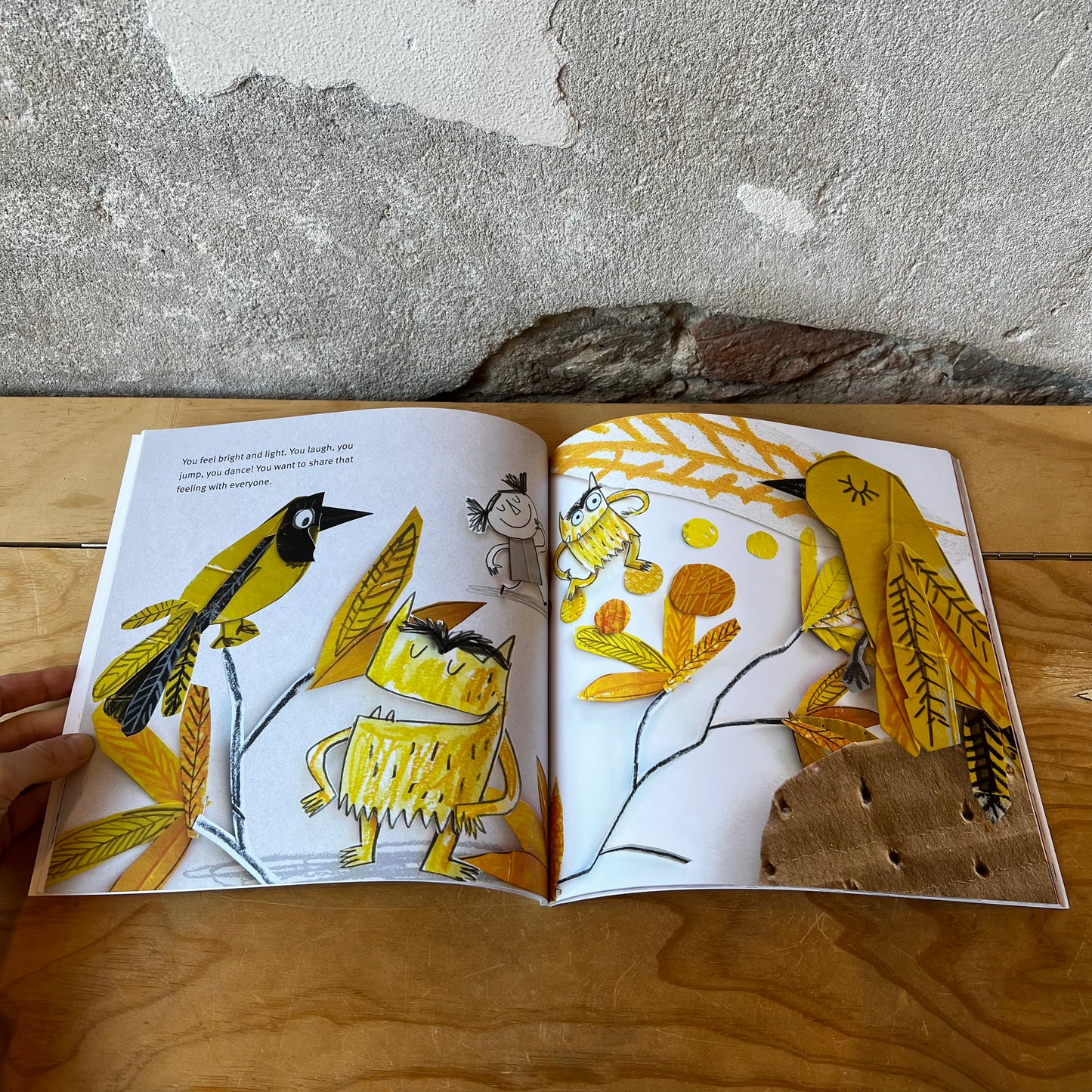 The Colour Monster – Anna Llenas
