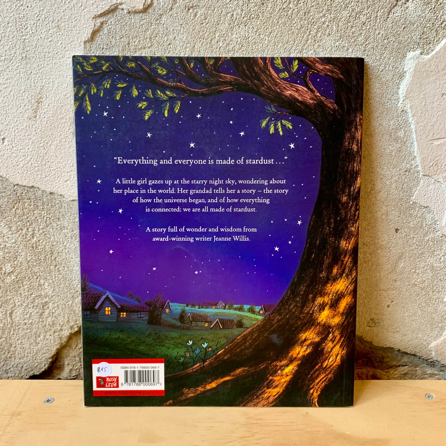 Stardust – Jeanne Willis, Briony May Smith