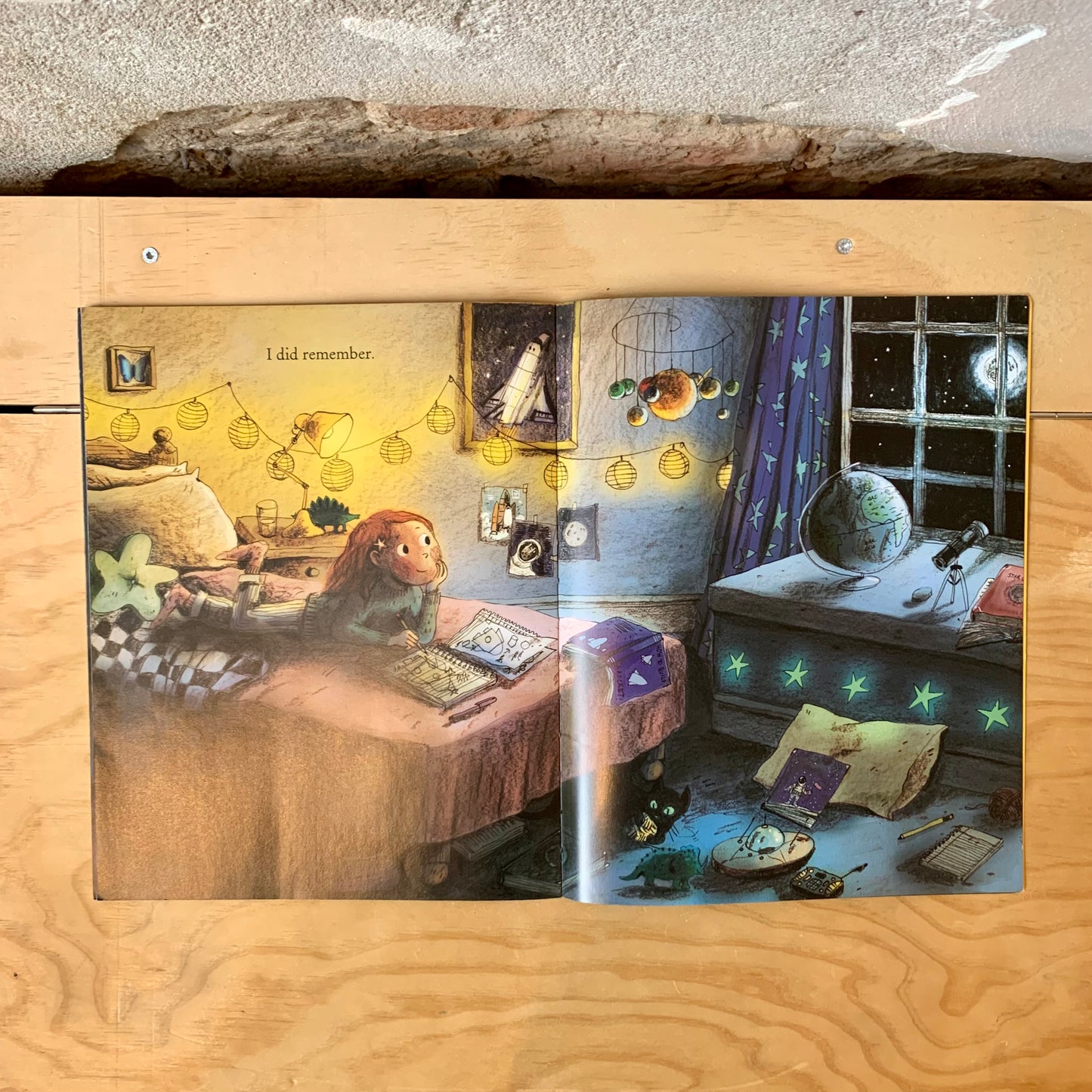 Stardust – Jeanne Willis, Briony May Smith