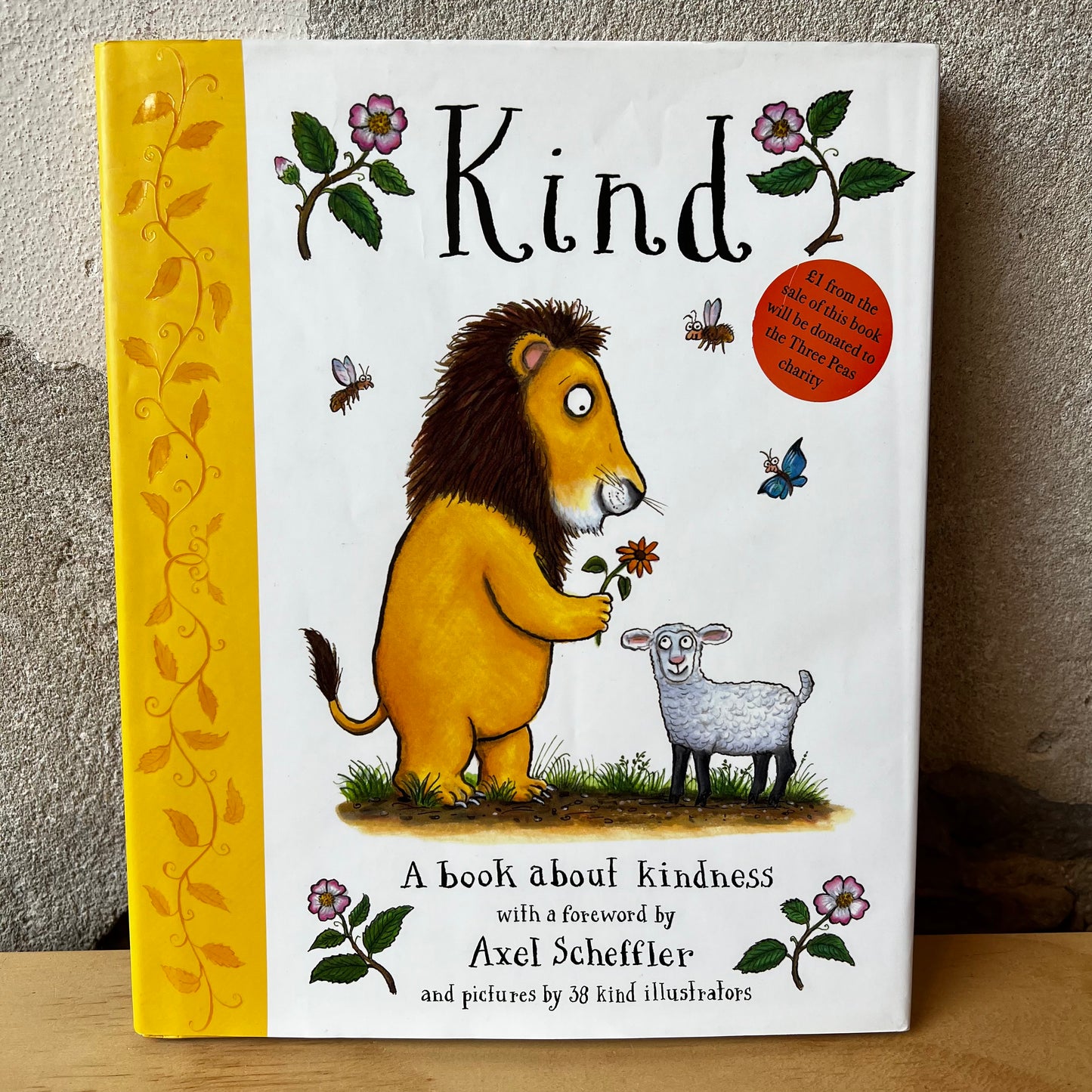 Kind – Alison Green, Axel Scheffler